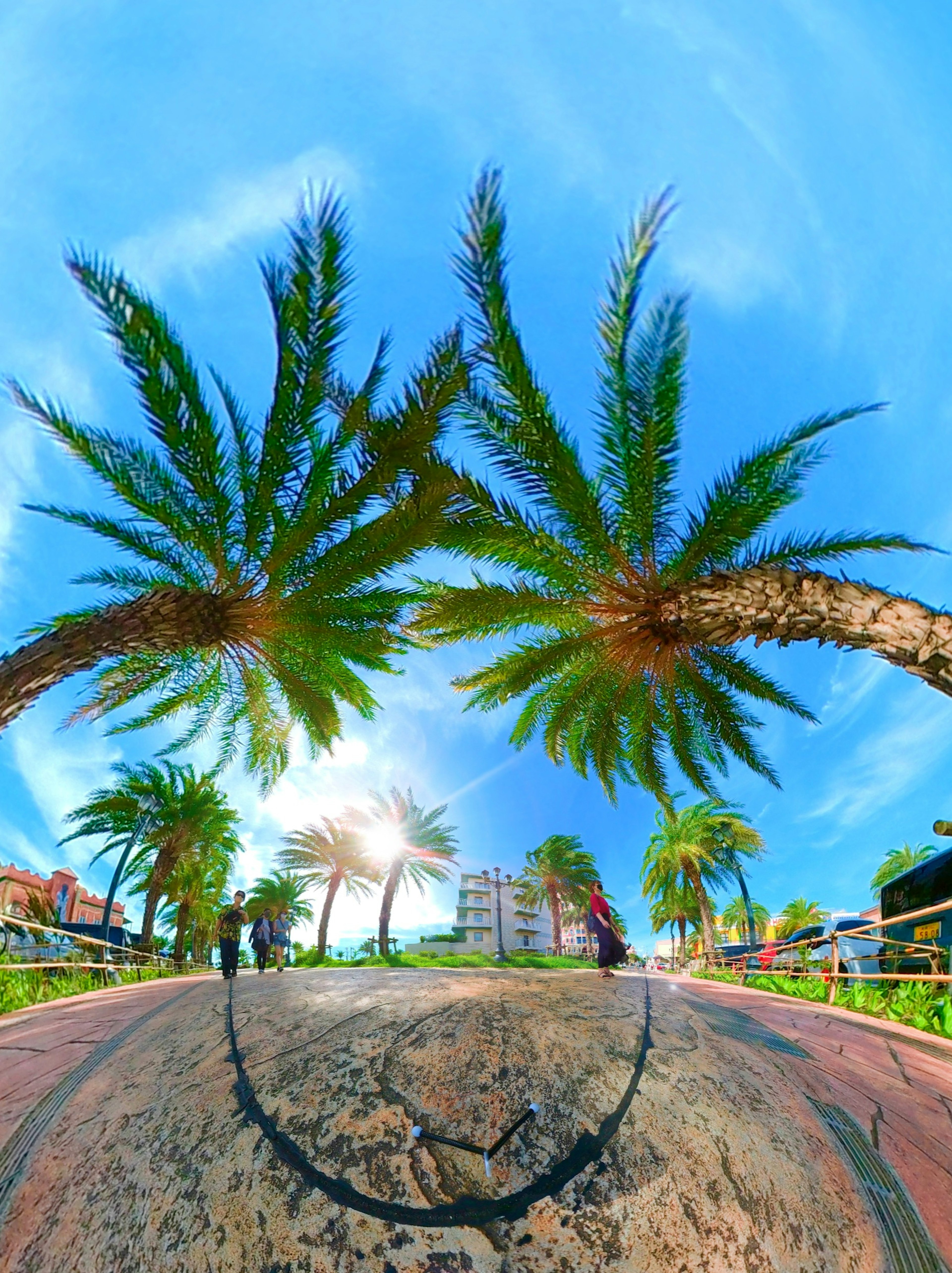 A scenic view of palm trees under a blue sky with people walking