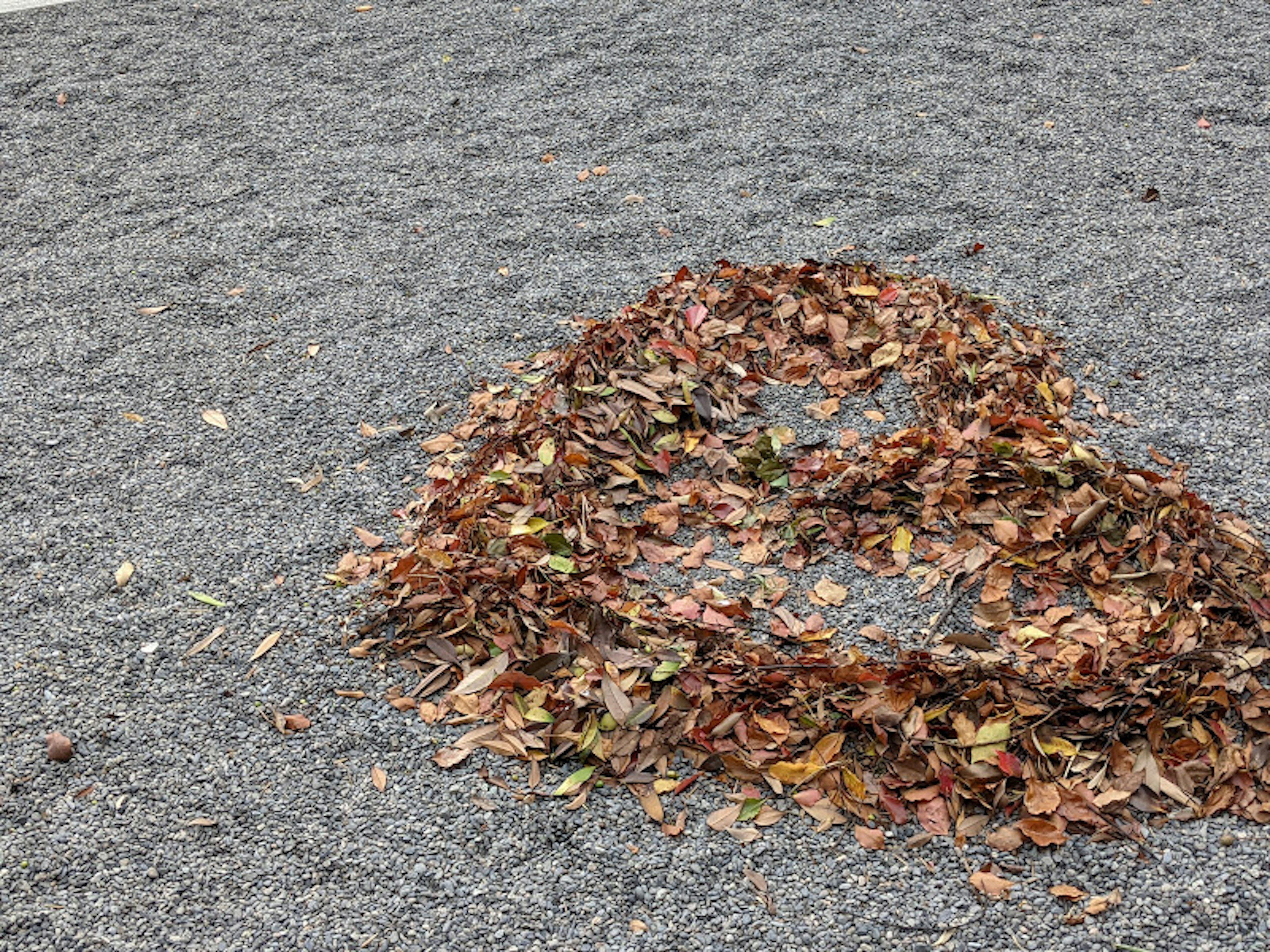 Arte a forma di cuore realizzato con foglie sul terreno