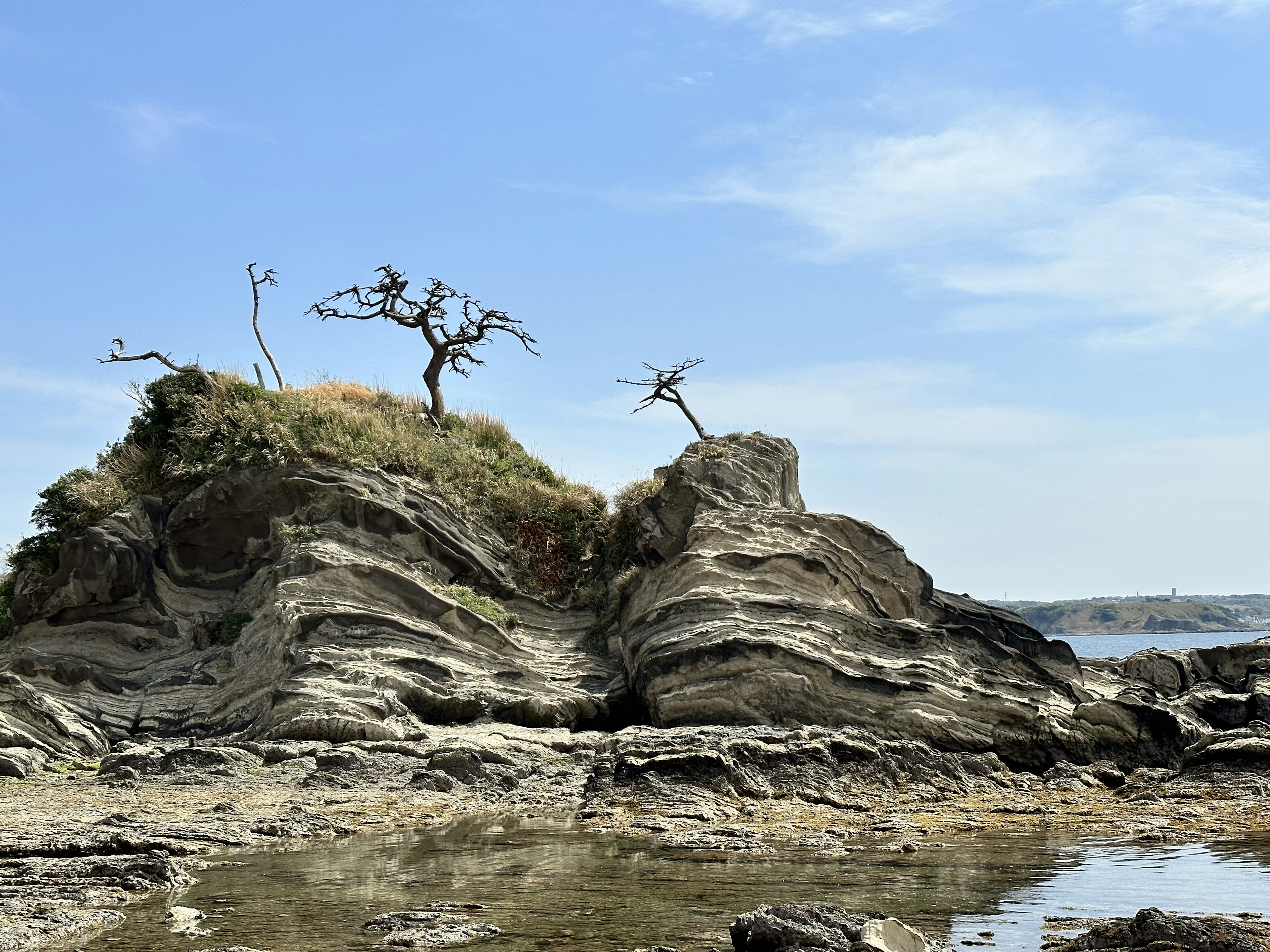 兩棵樹在被水和藍天環繞的岩石島上