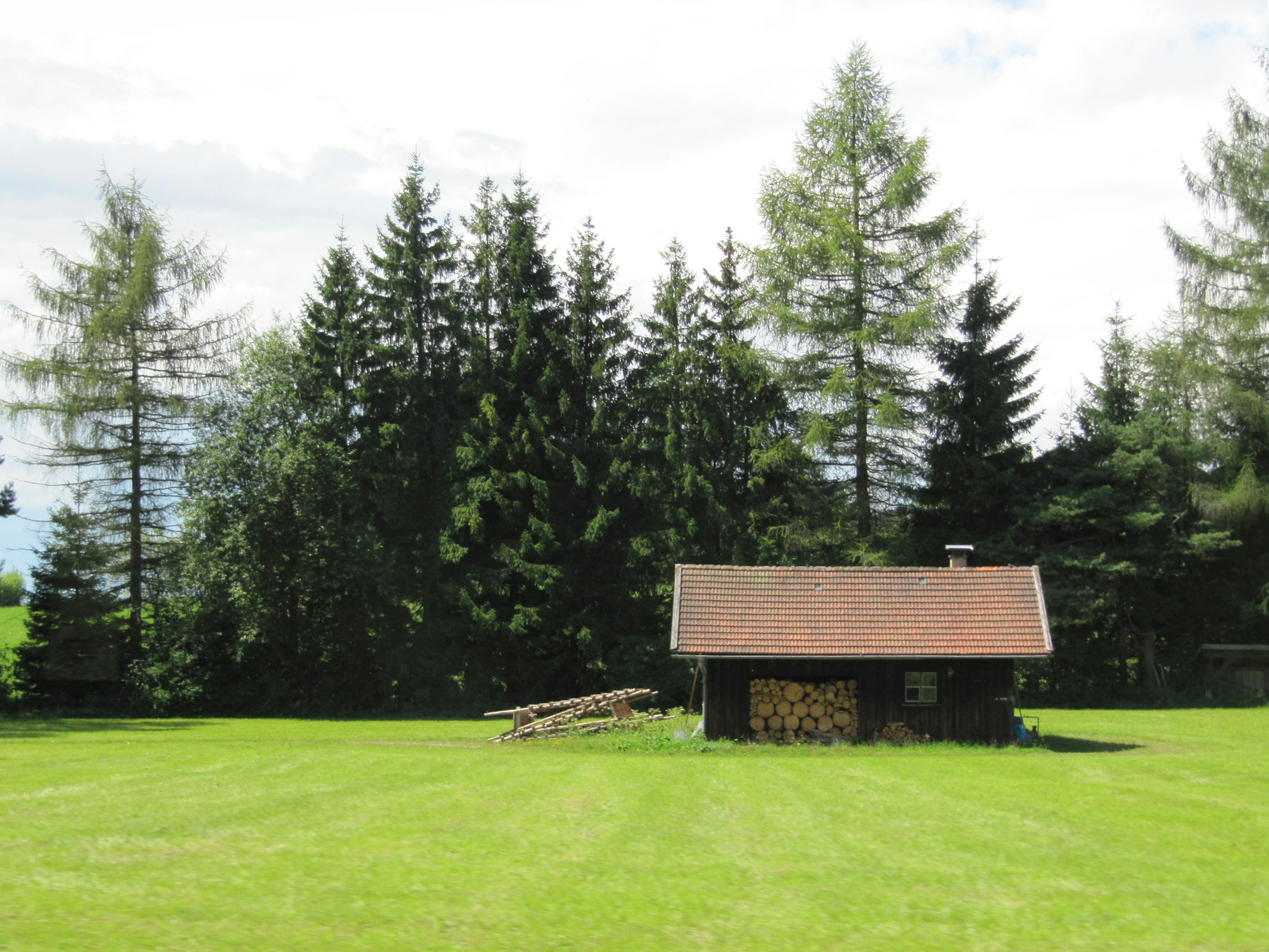 Eine kleine Hütte auf einer grünen Wiese umgeben von Nadelbäumen