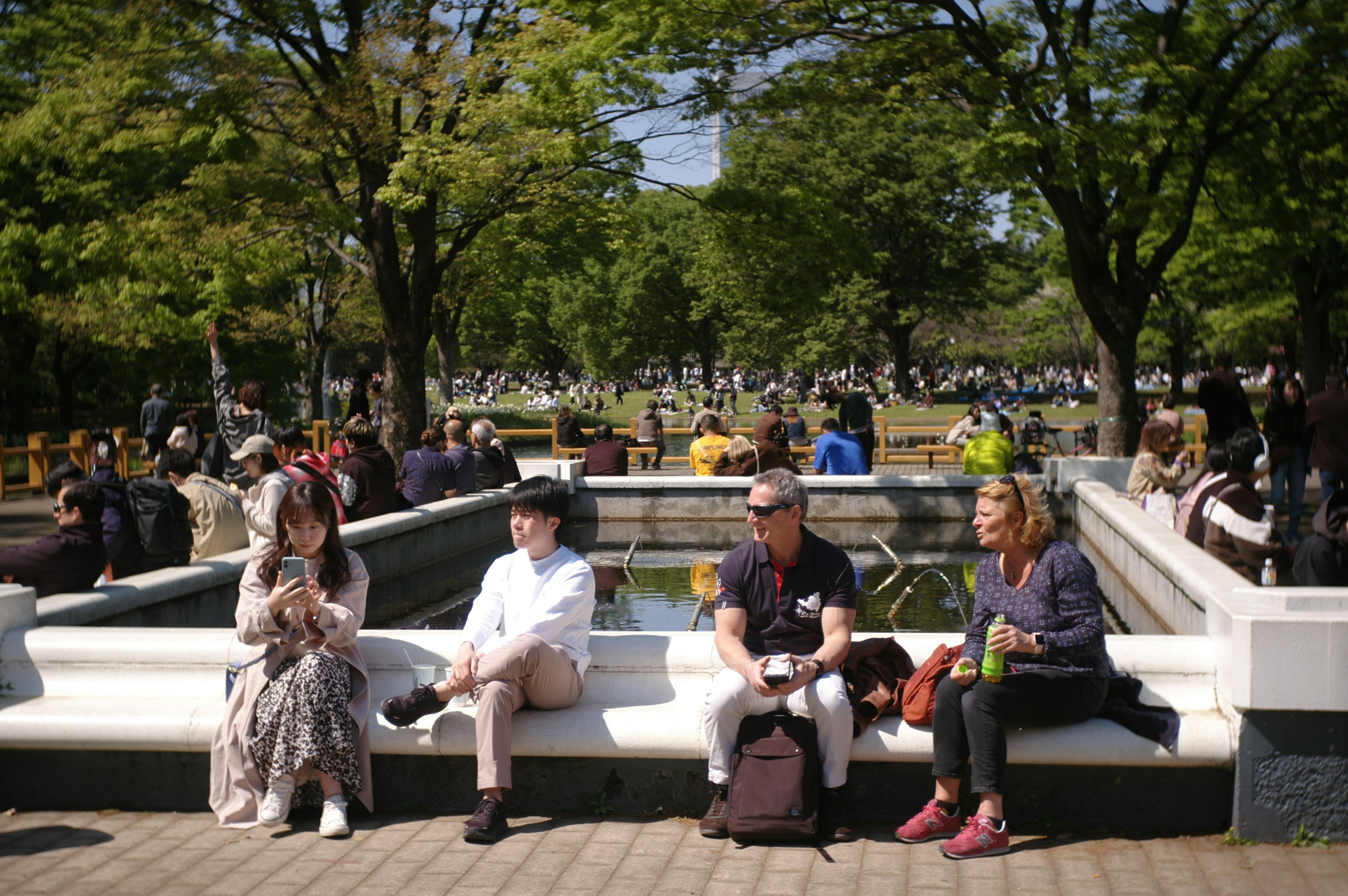 Des personnes assises sur un banc dans un parc entouré d'arbres verts