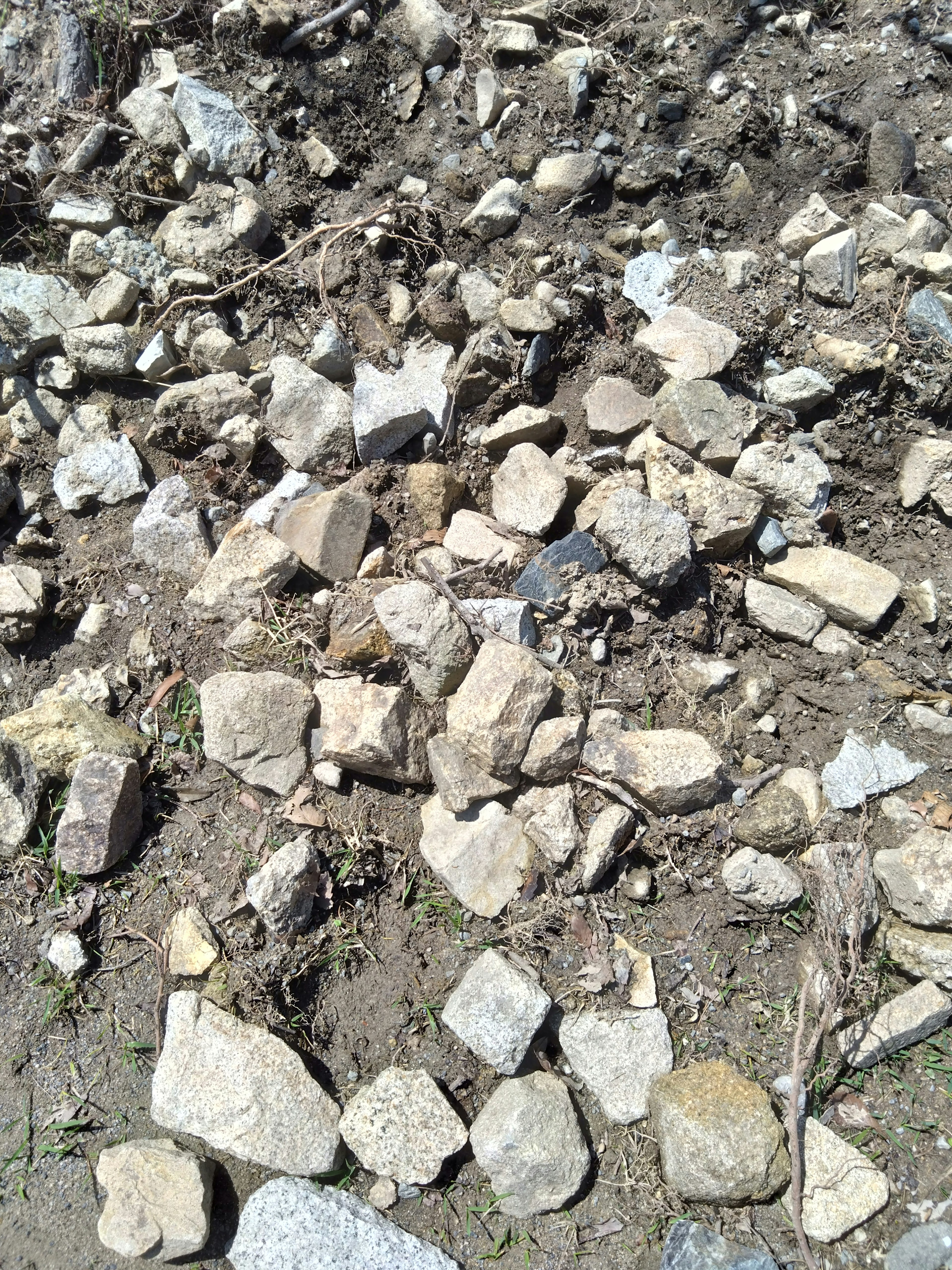 Suelo cubierto con varias tamaños de rocas y piedras