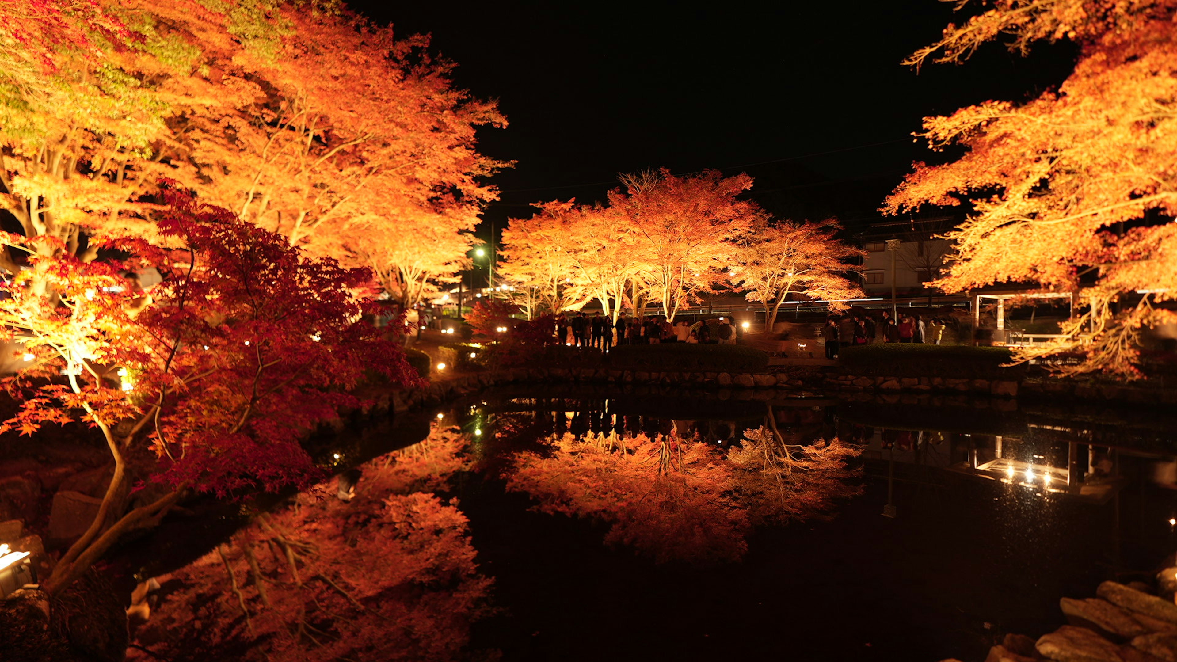 夜に照らされた紅葉の木々と水面の美しい反射