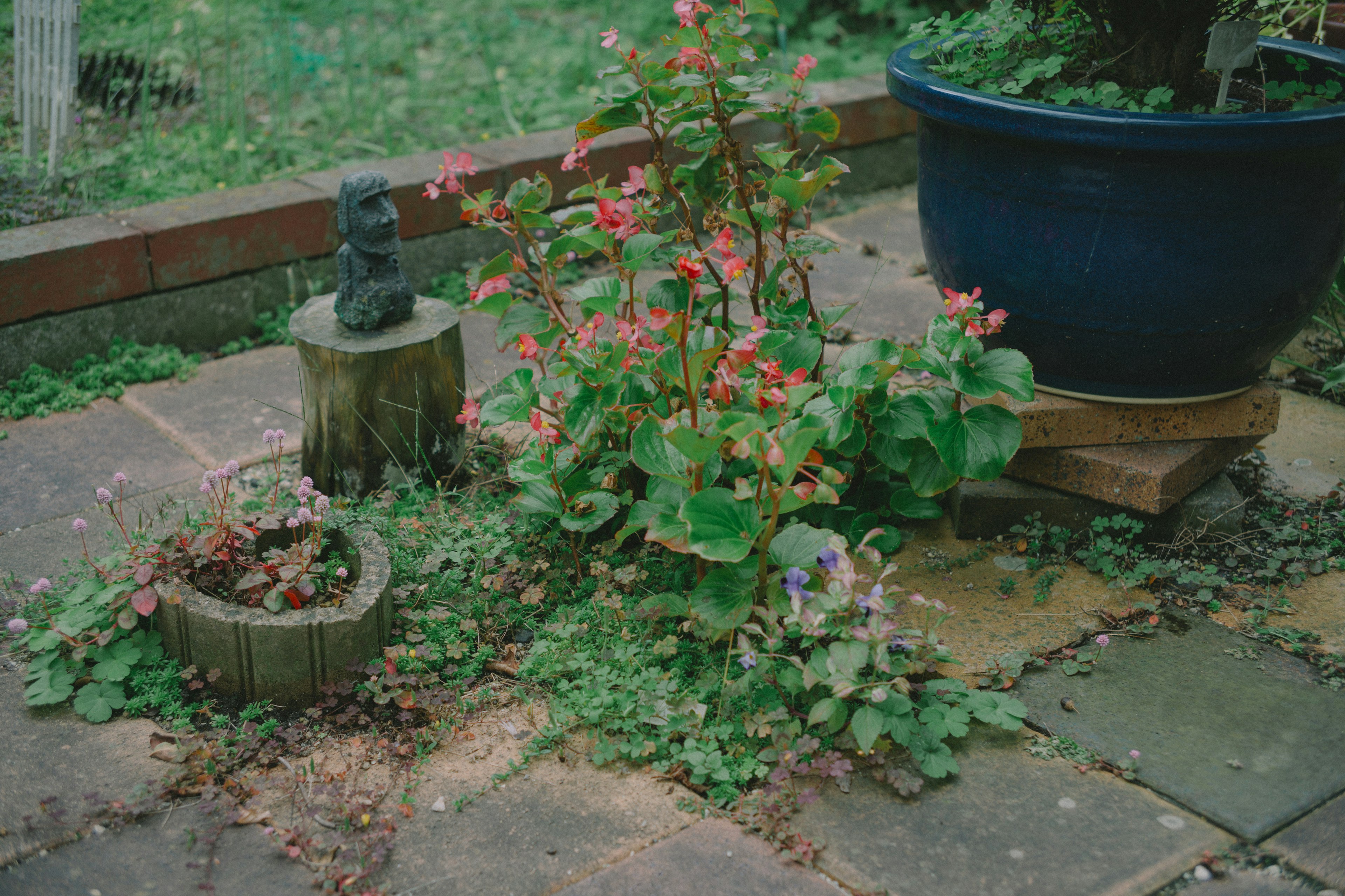 庭の花と植木鉢の写真に、緑の草と色とりどりの花が映る