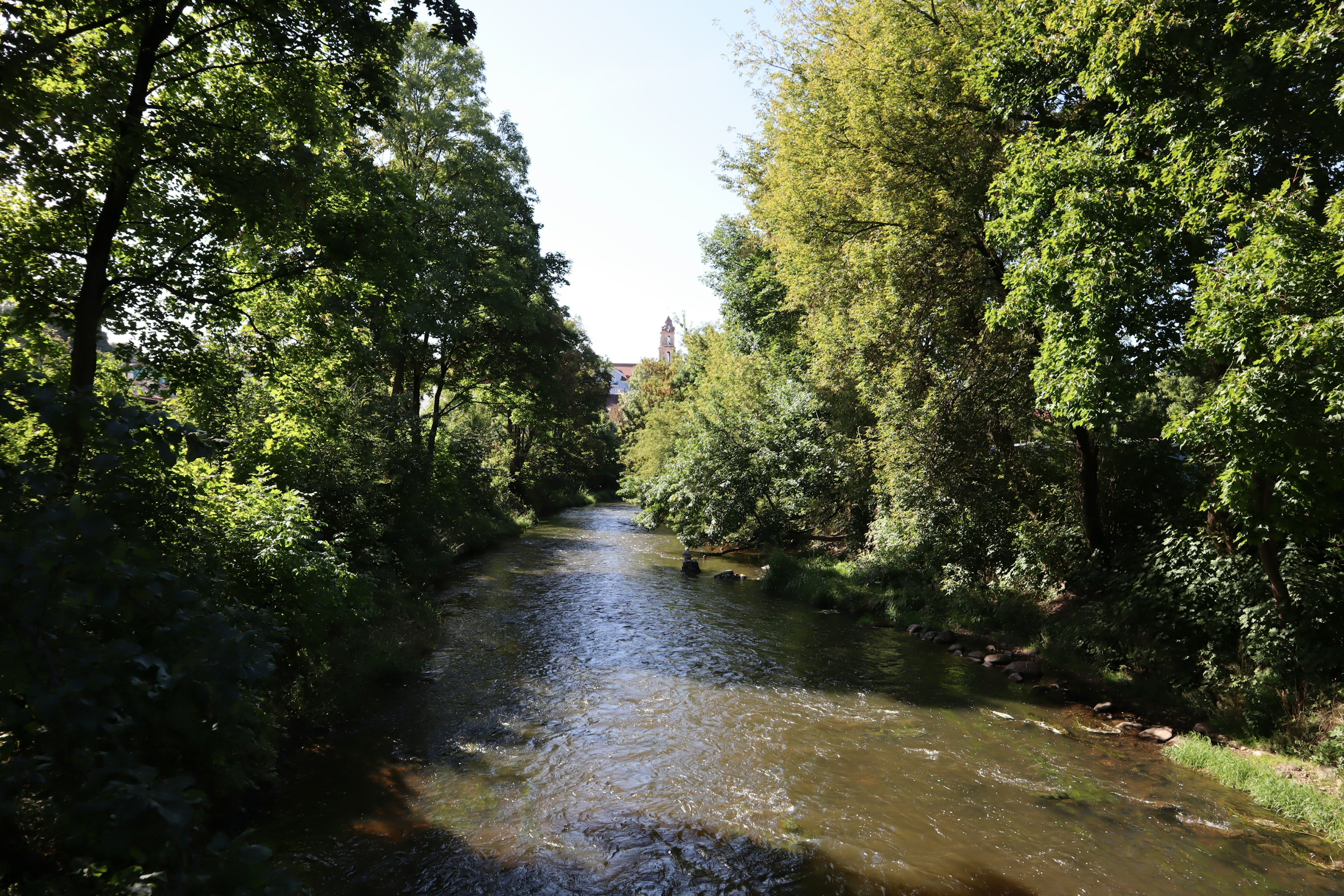 A calm river flowing through lush green trees