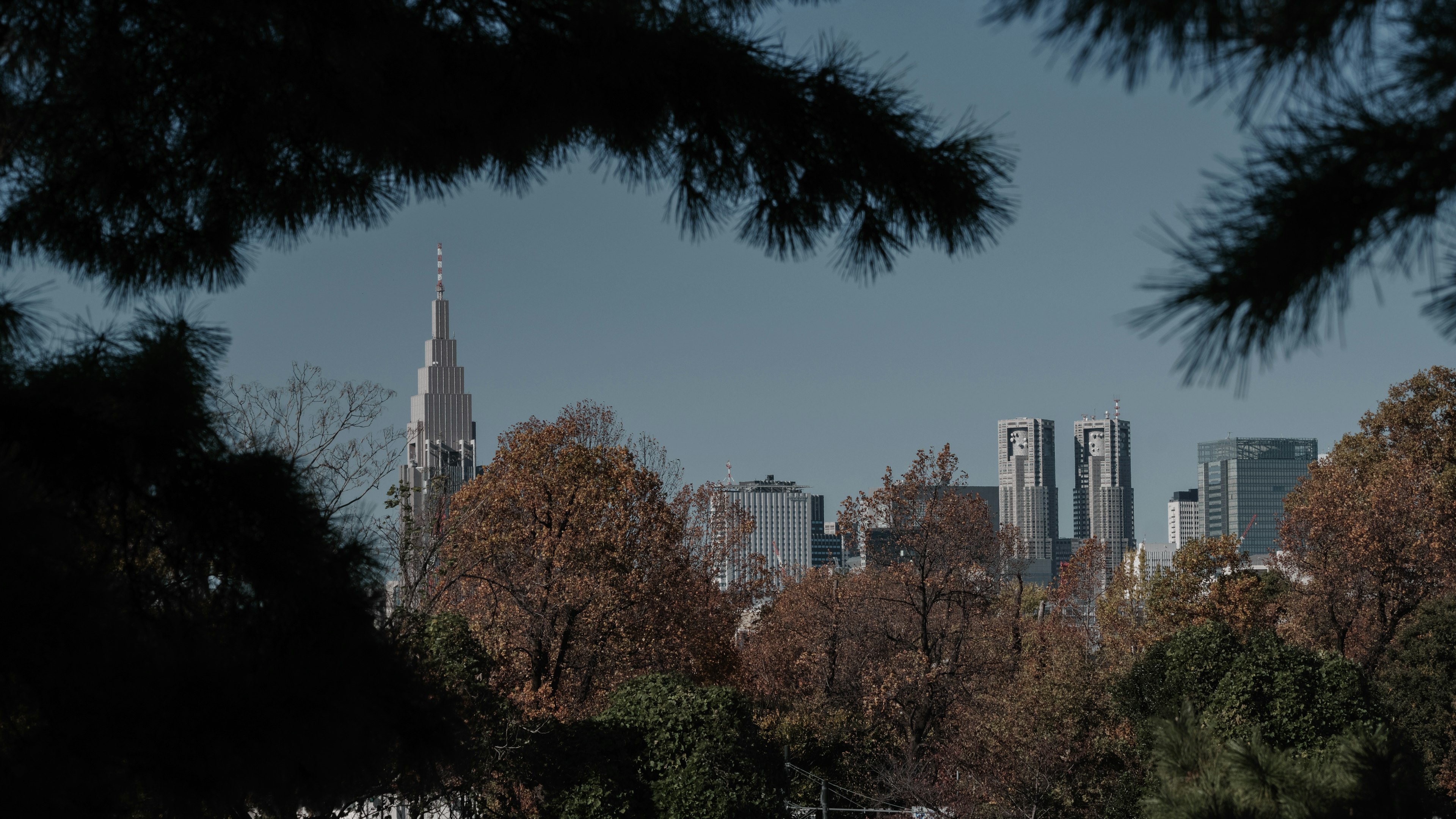 Skyline della città con grattacieli visibili tra gli alberi autunnali