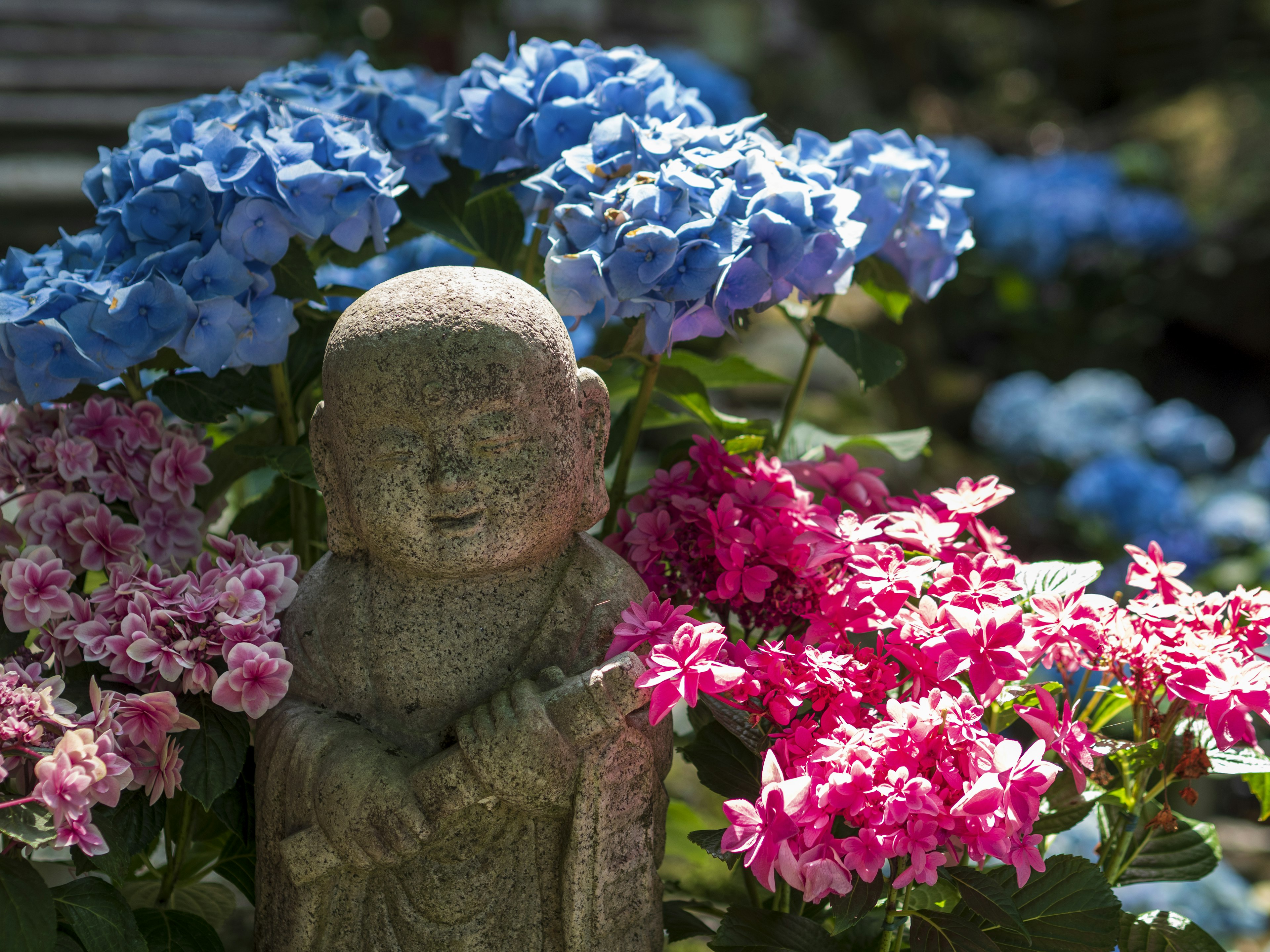 Steinstatue umgeben von blauen Hortensien und rosa Blumen