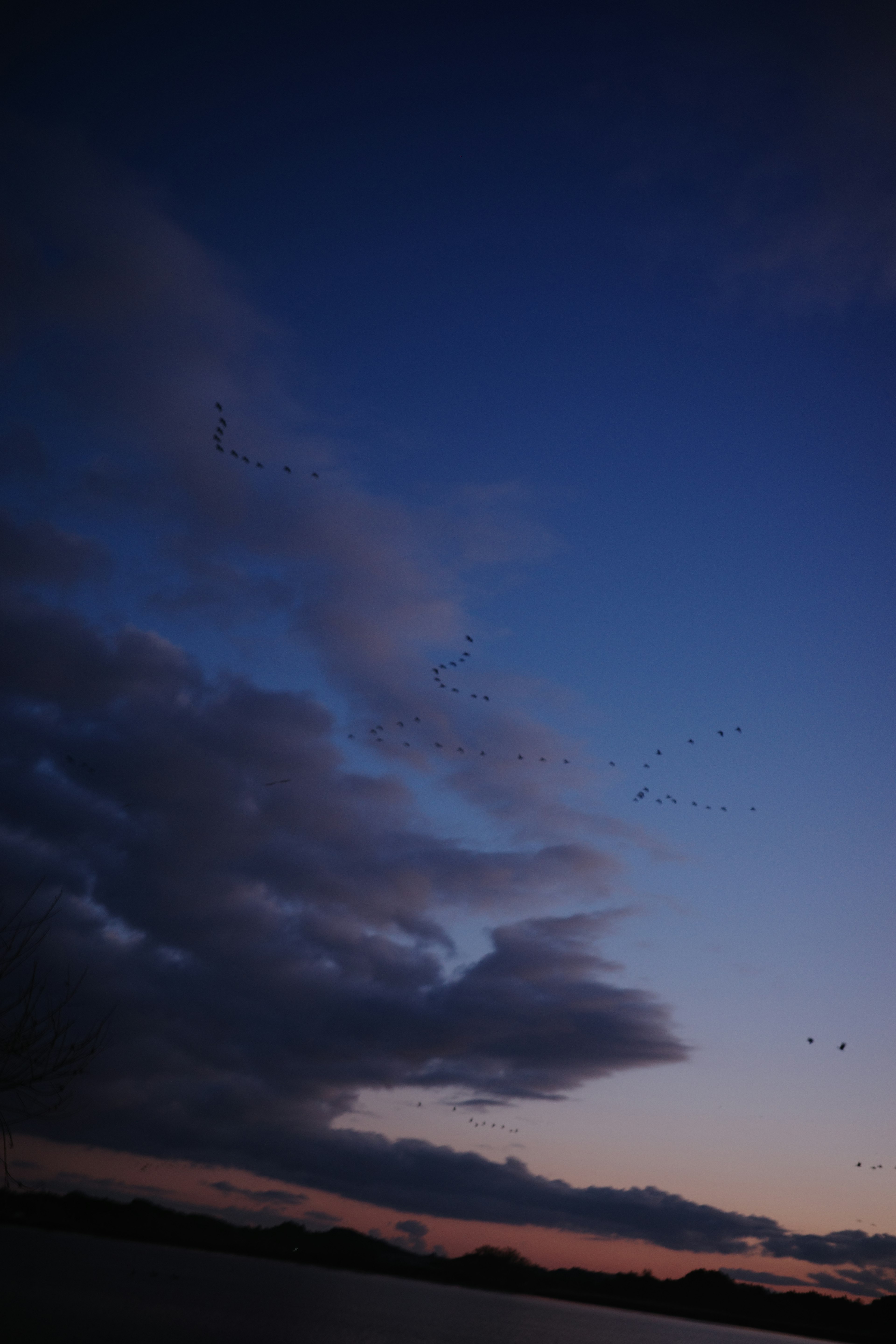 夕暮れ時の空に広がる雲と色合い