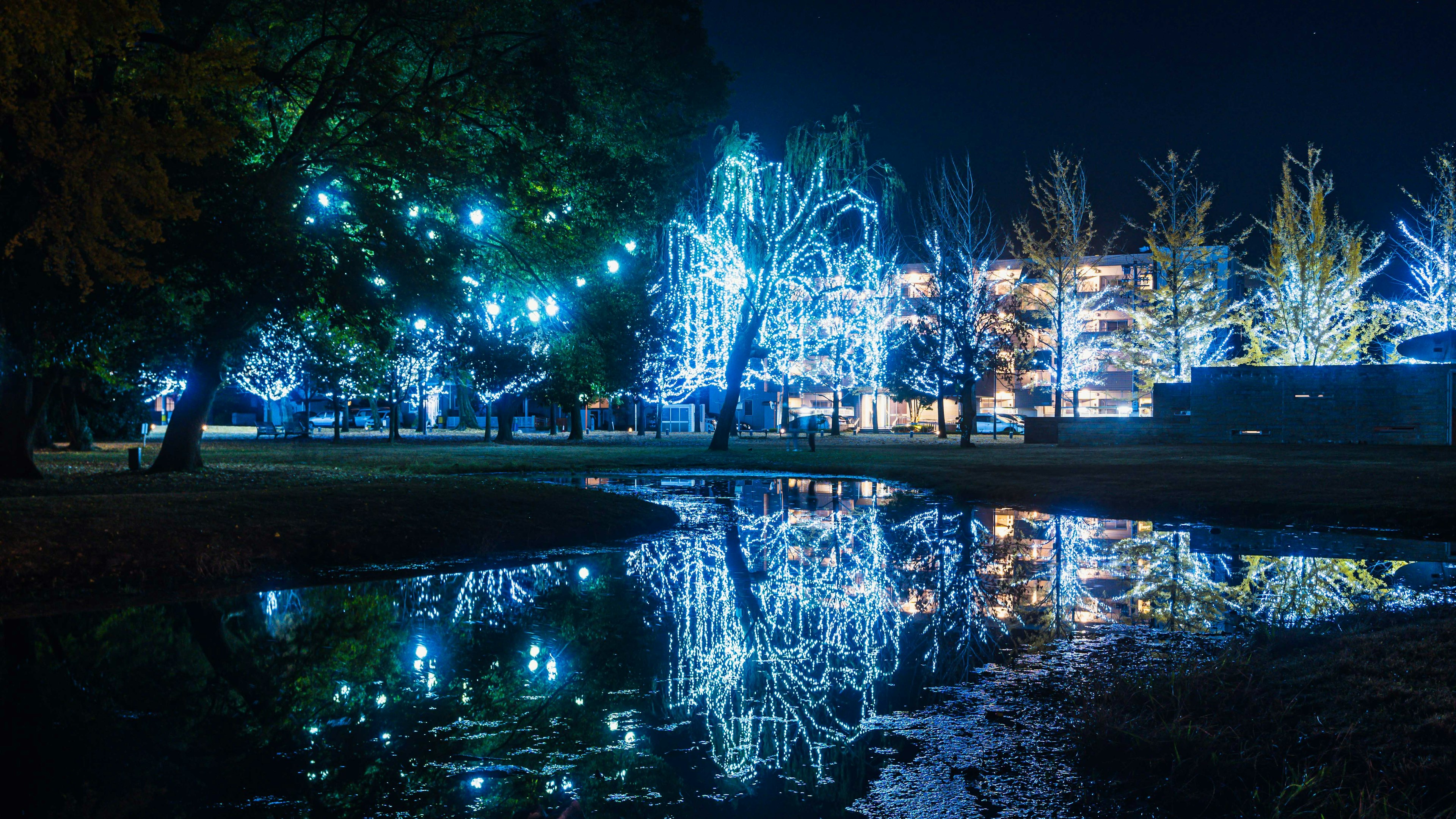 Nachtszene im Park mit leuchtenden blauen Lichtern und Reflexionen im Wasser