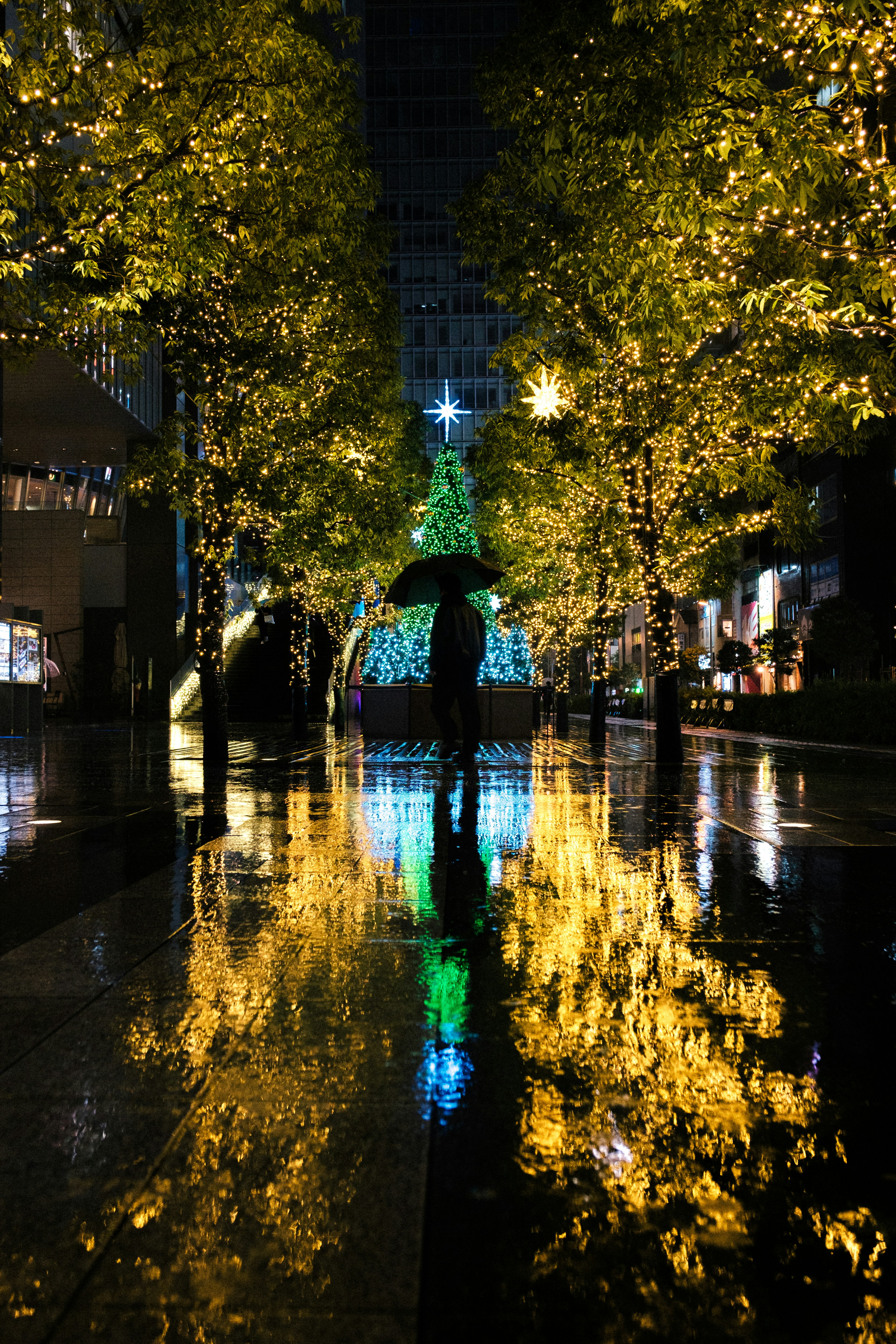 Reflection of a Christmas tree and lights in a rainy street at night