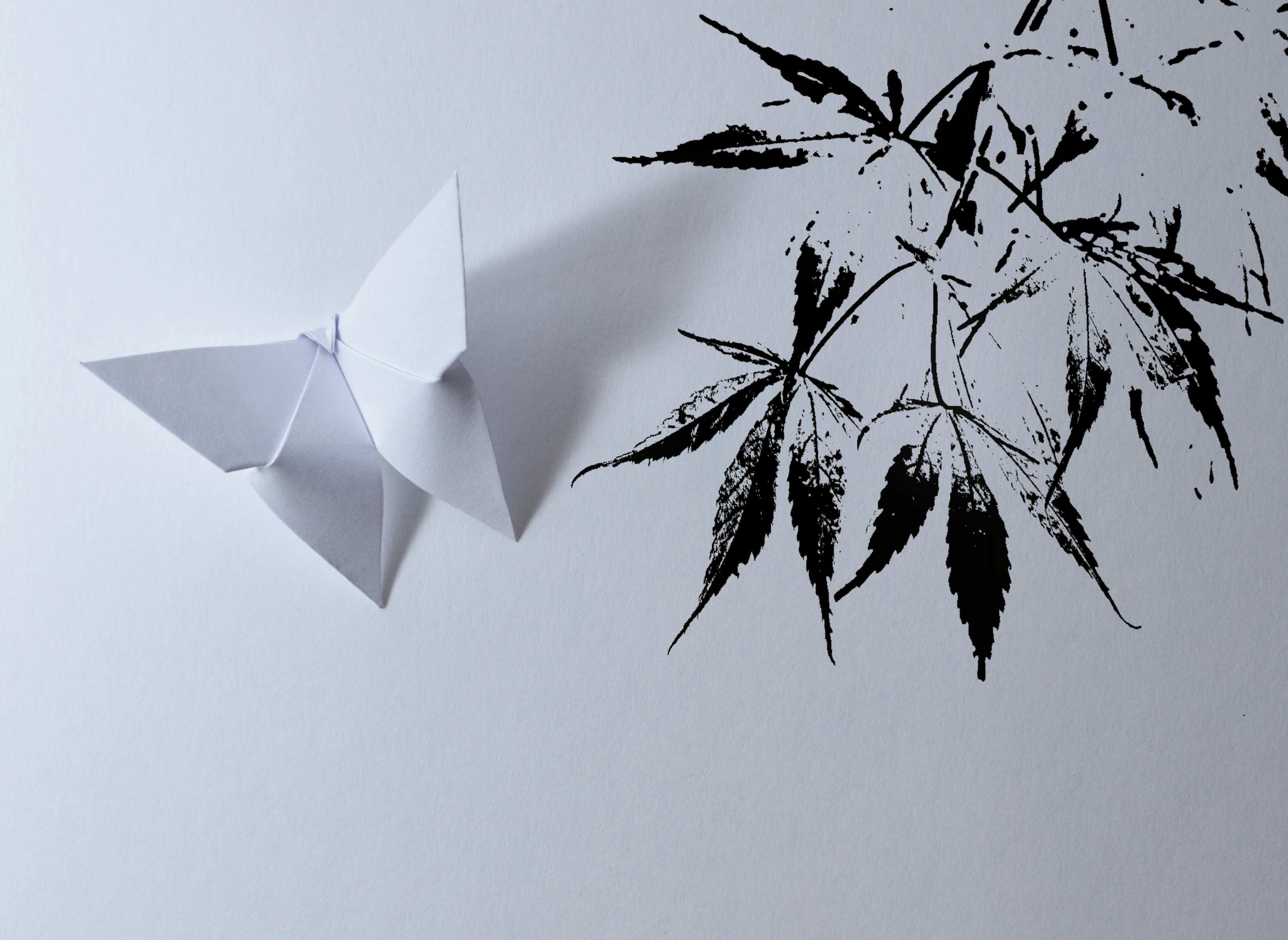 Una obra de arte impactante con una mariposa de origami blanca y hojas negras