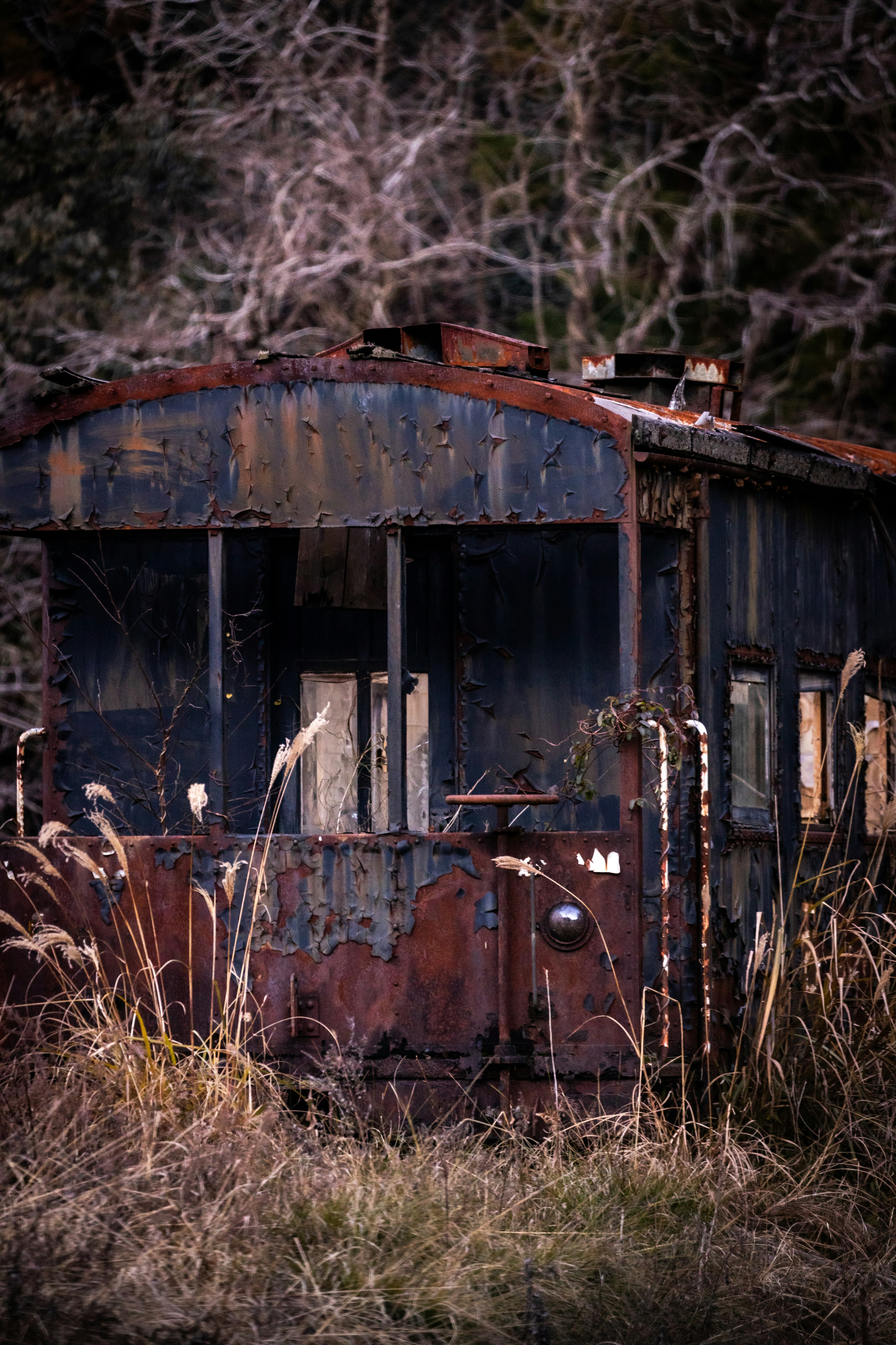 An old train car surrounded by tall grass