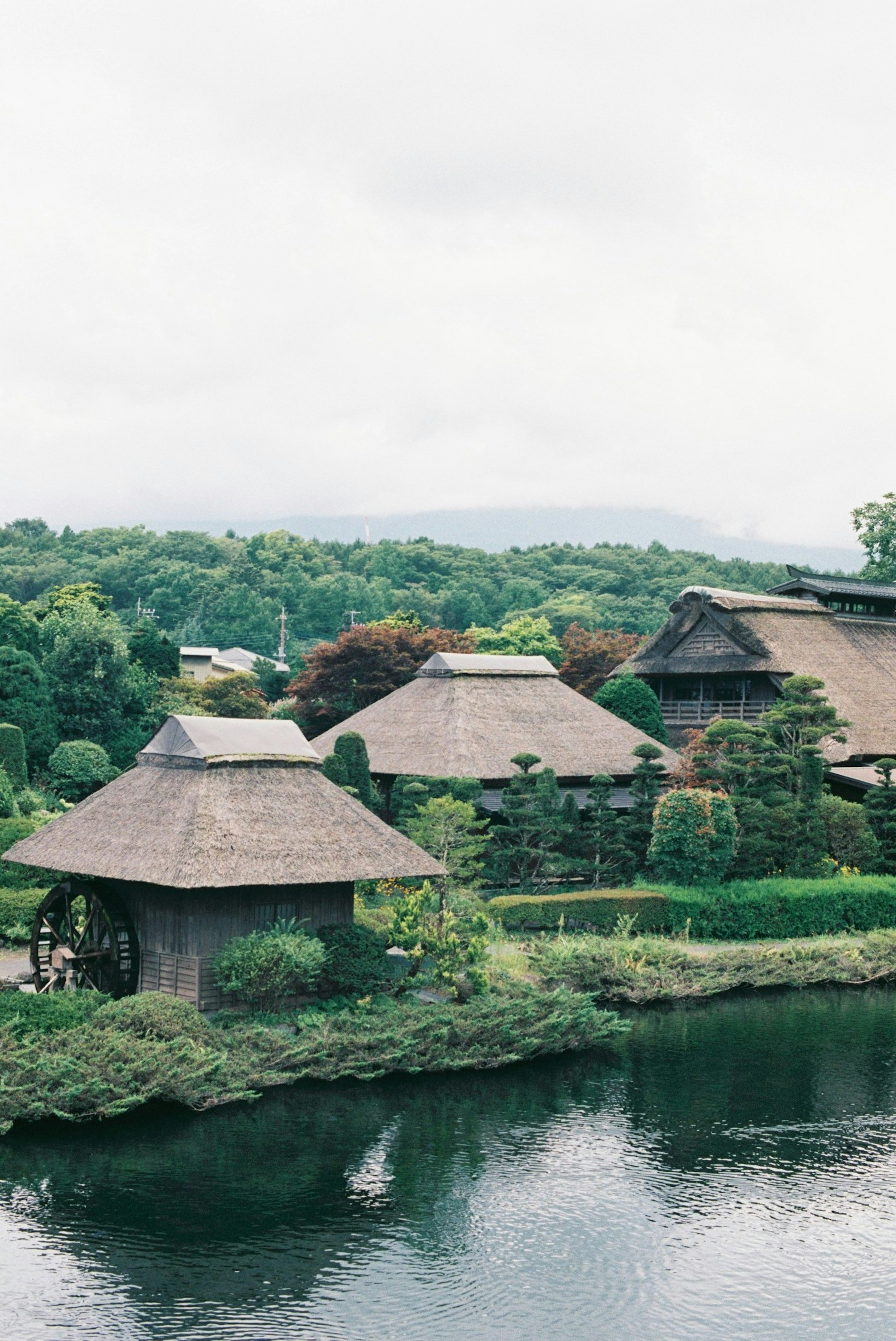 Casas japonesas tradicionales y una rueda de agua rodeadas de vegetación