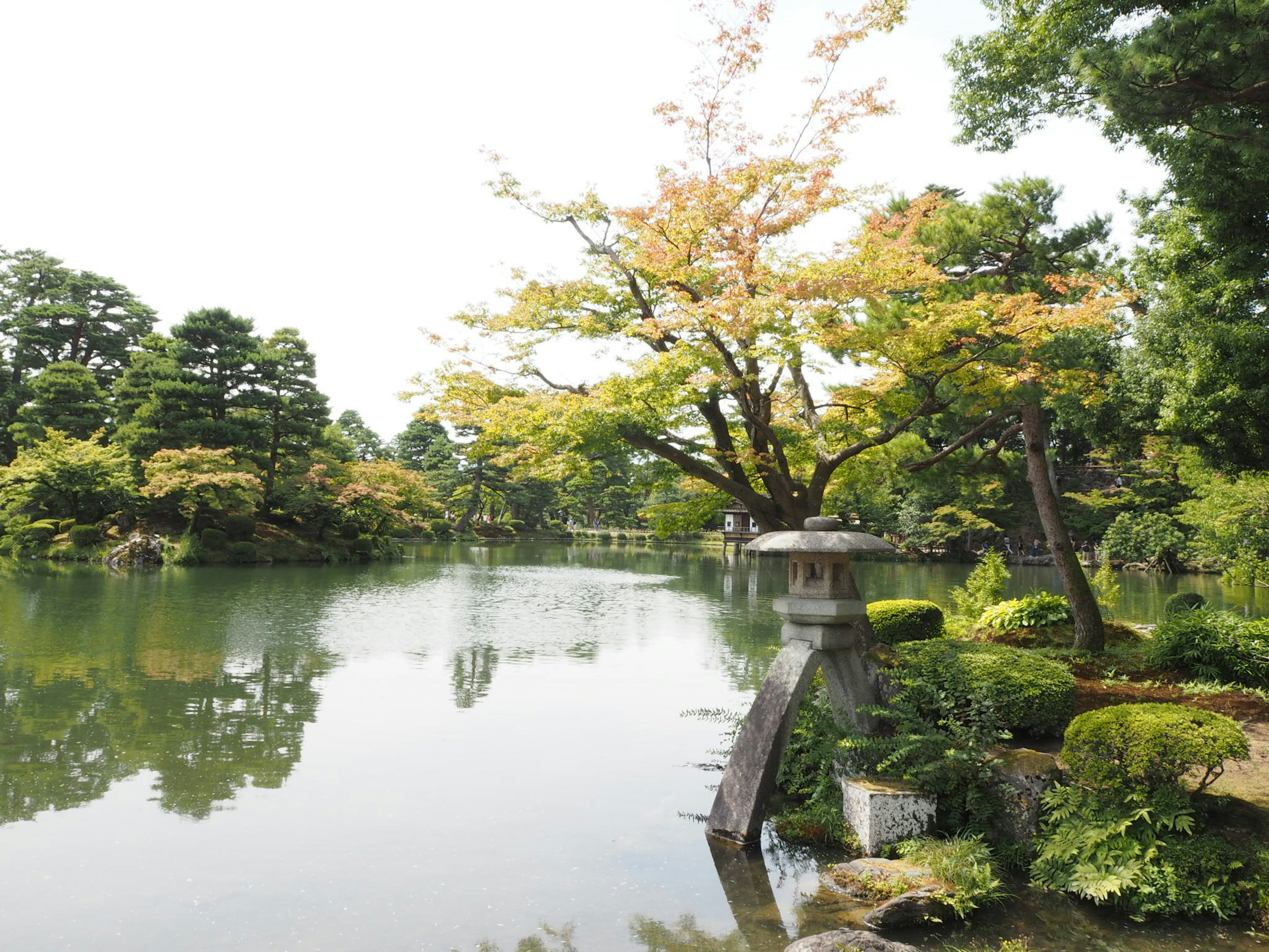 Serene pond surrounded by lush greenery and autumn foliage