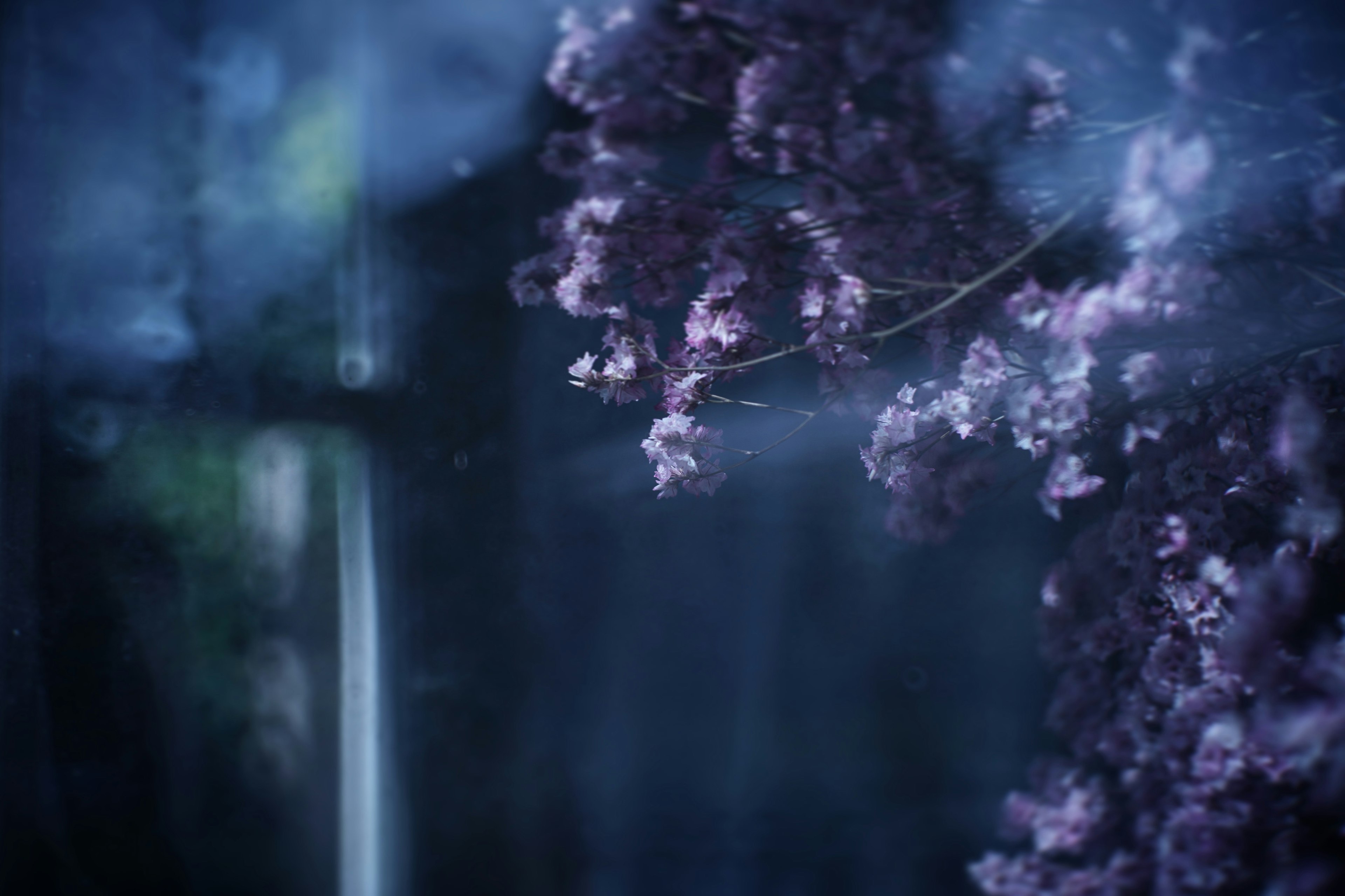 A dreamy scene featuring purple flowers against a dark background