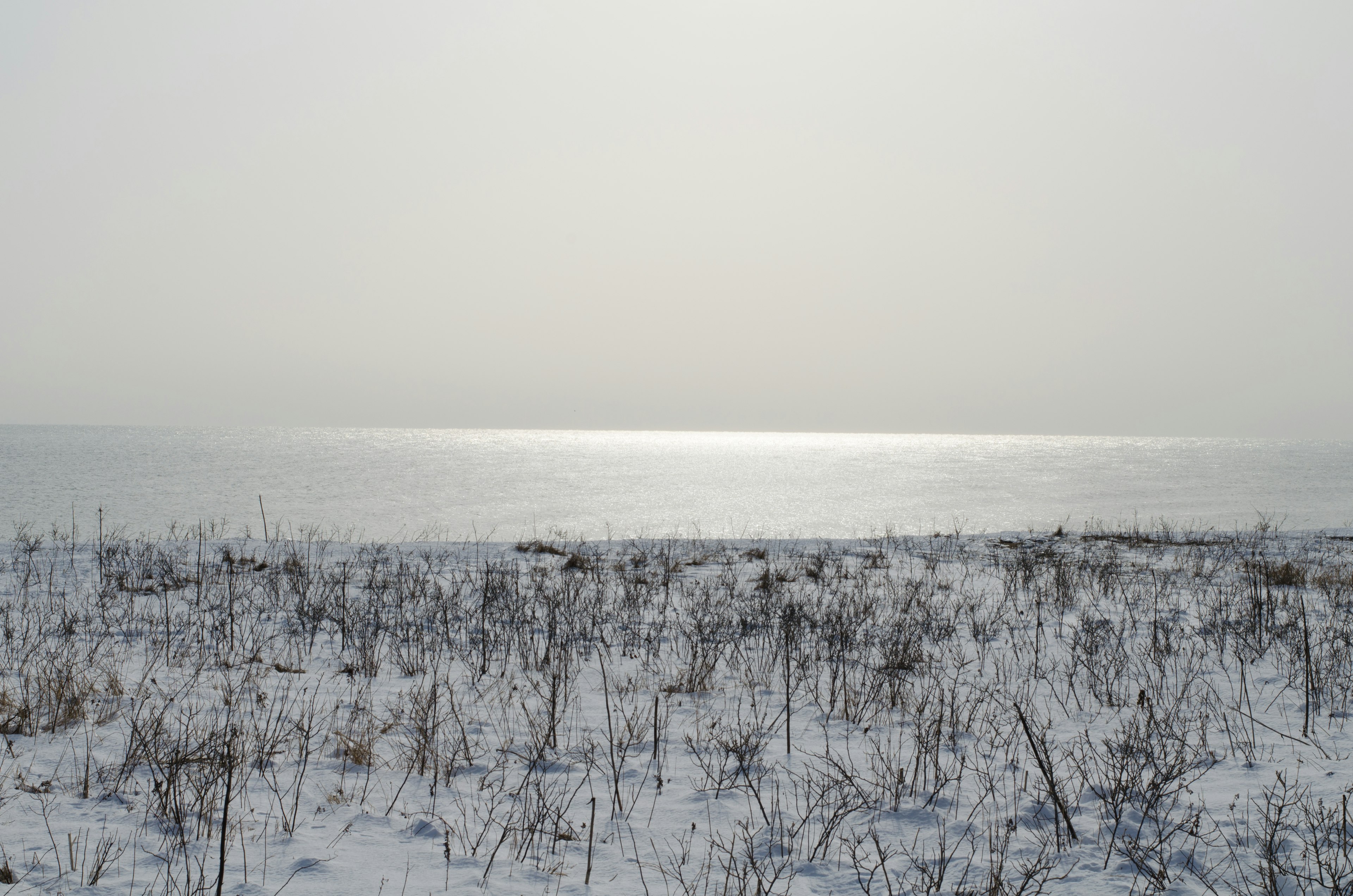 Schneebedecktes Grasland mit ruhigem Meer