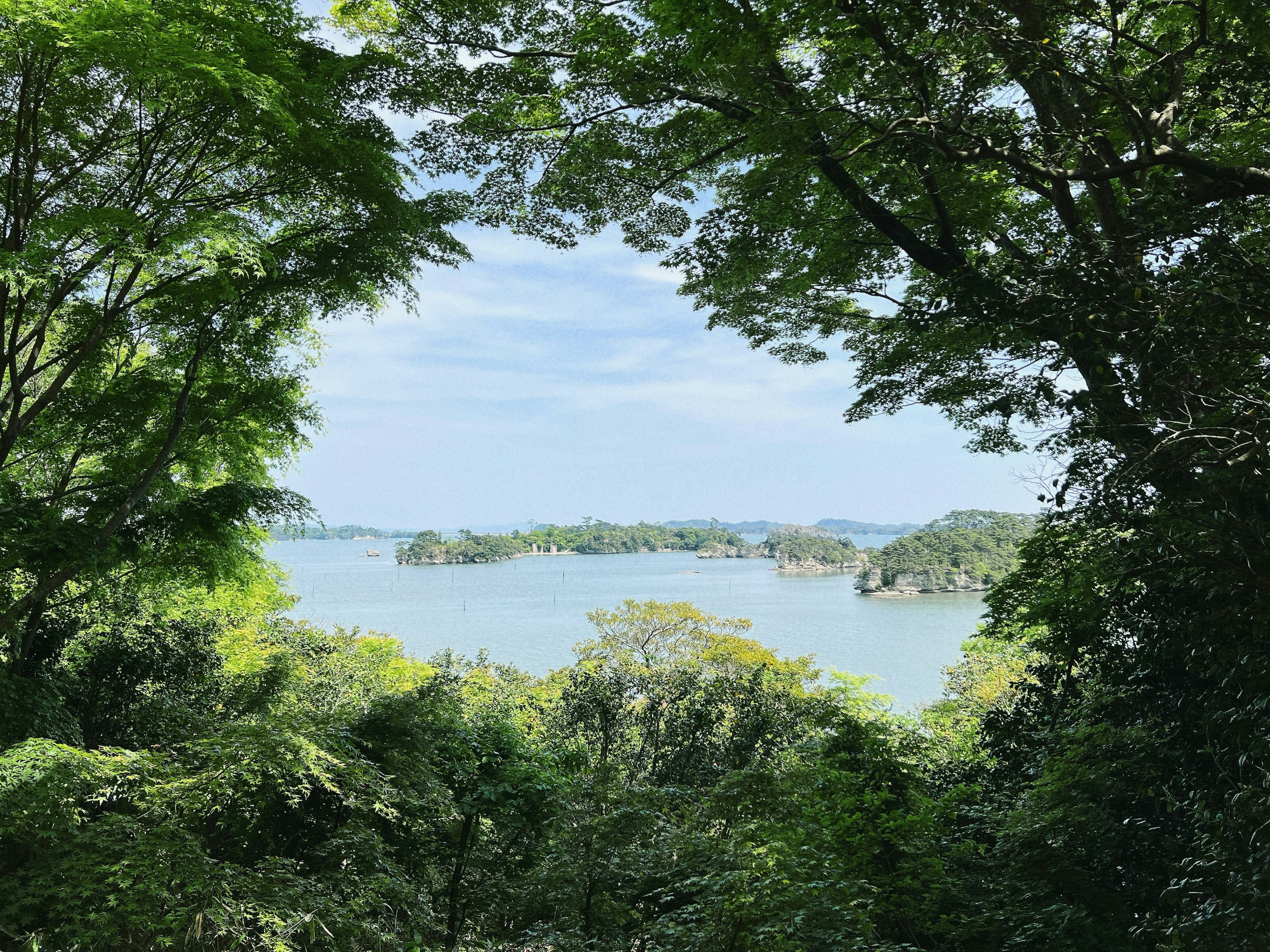 Malersicher Blick auf einen See, umrahmt von üppigen grünen Bäumen