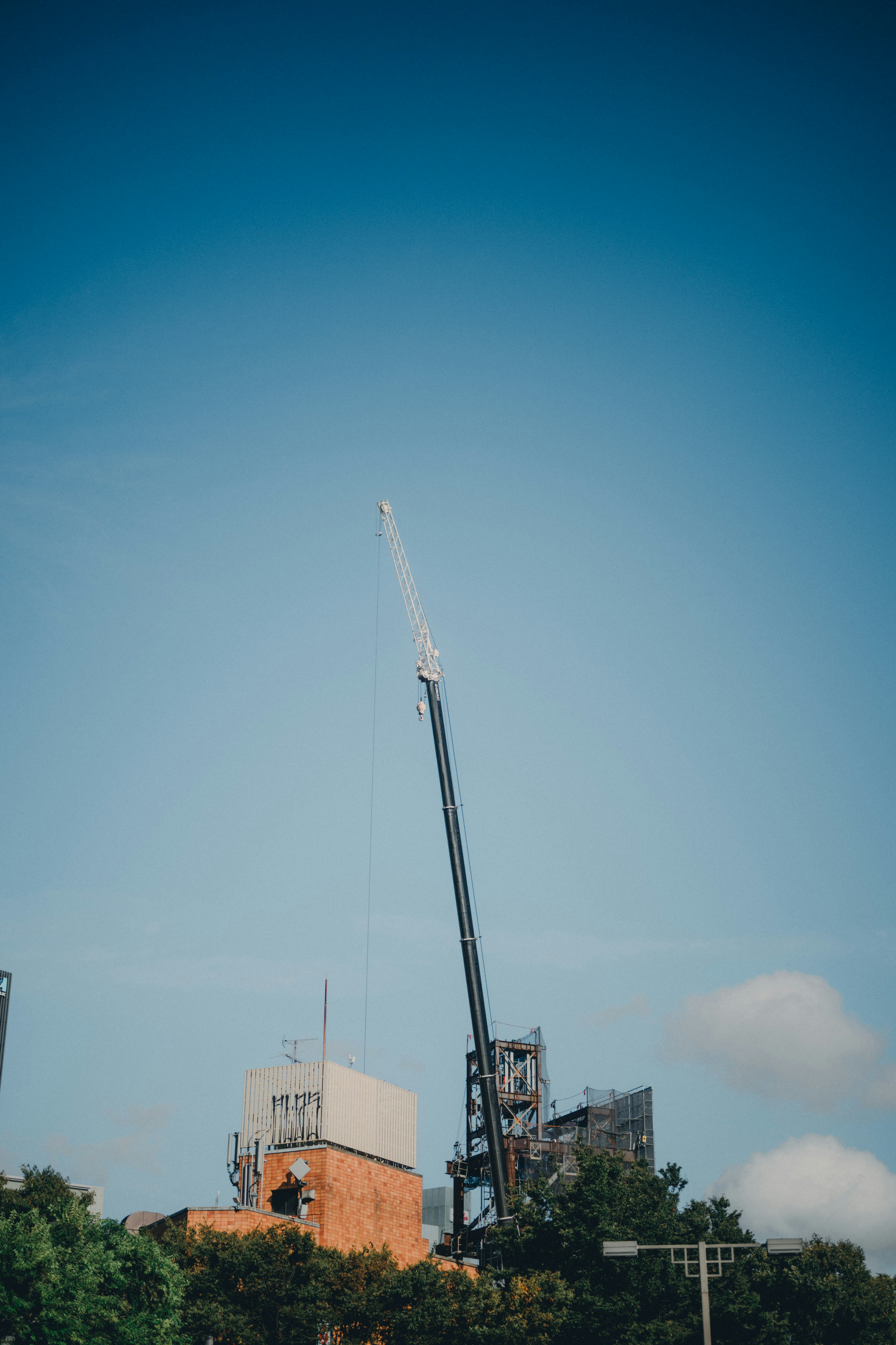 在藍天上延伸的起重機和建築物