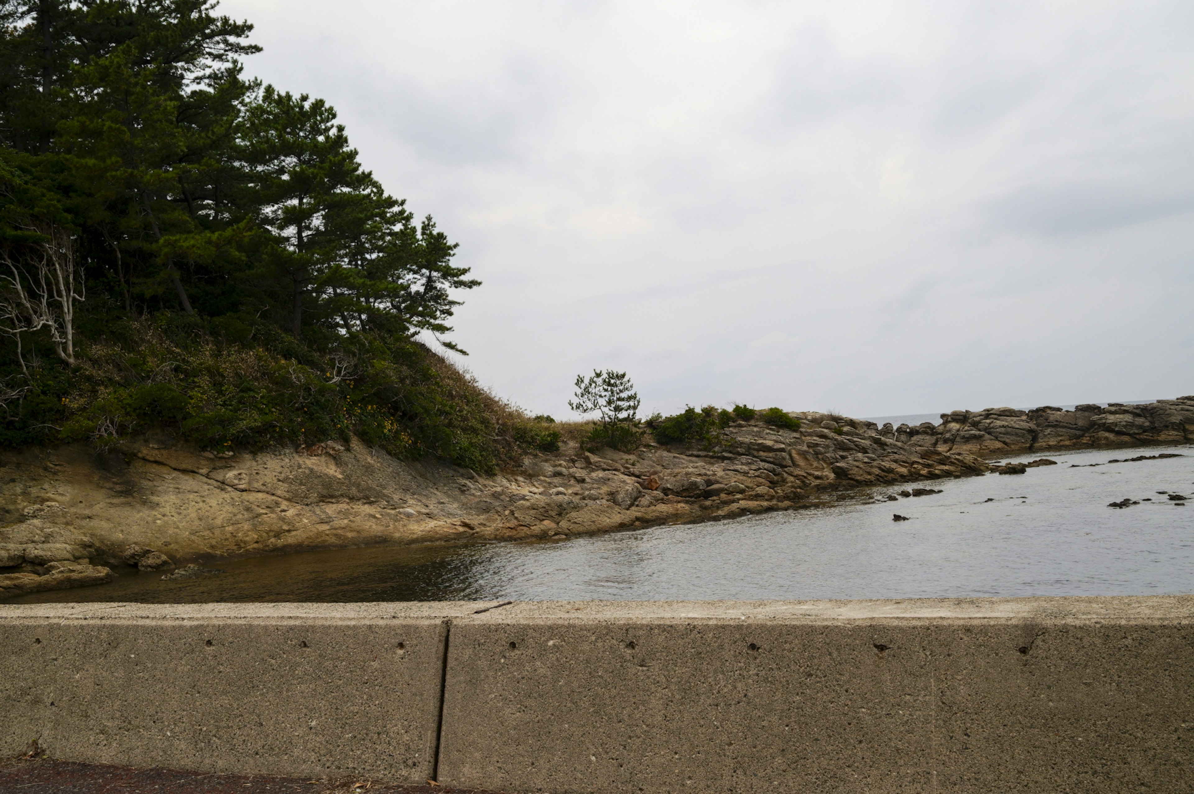 岩場と緑の木々がある海岸の風景