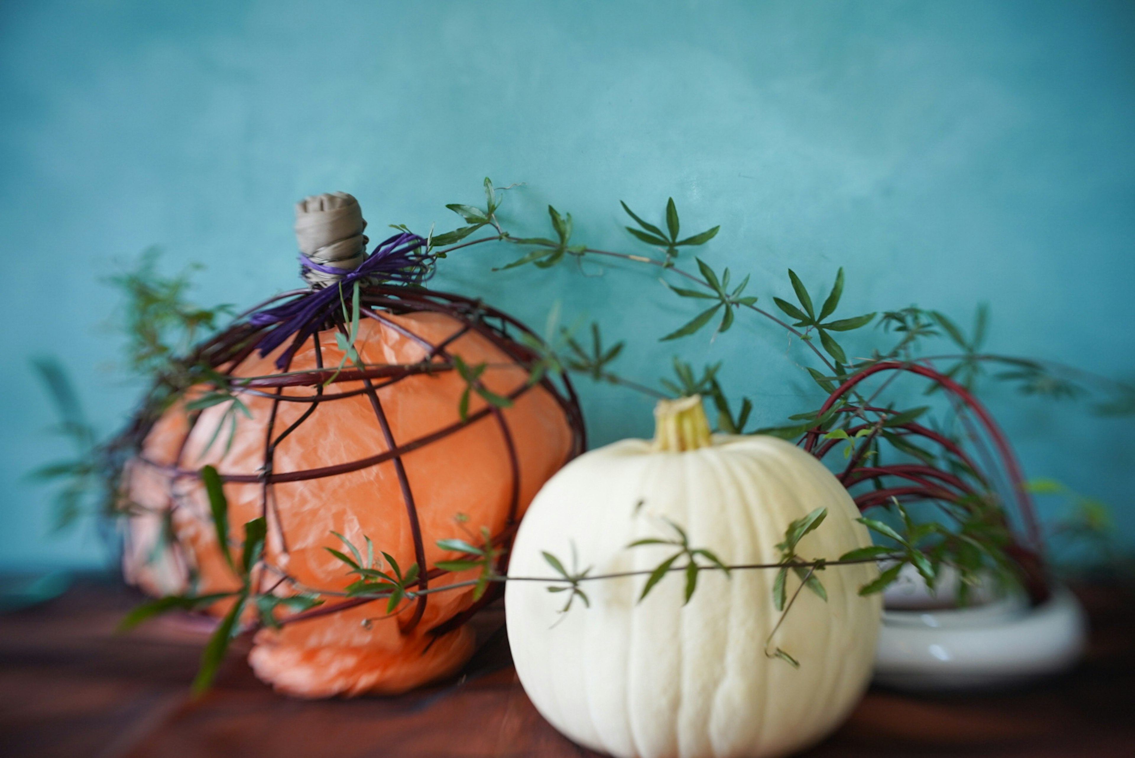 Image of an orange pumpkin and a white pumpkin adorned with green leaves against a tranquil background