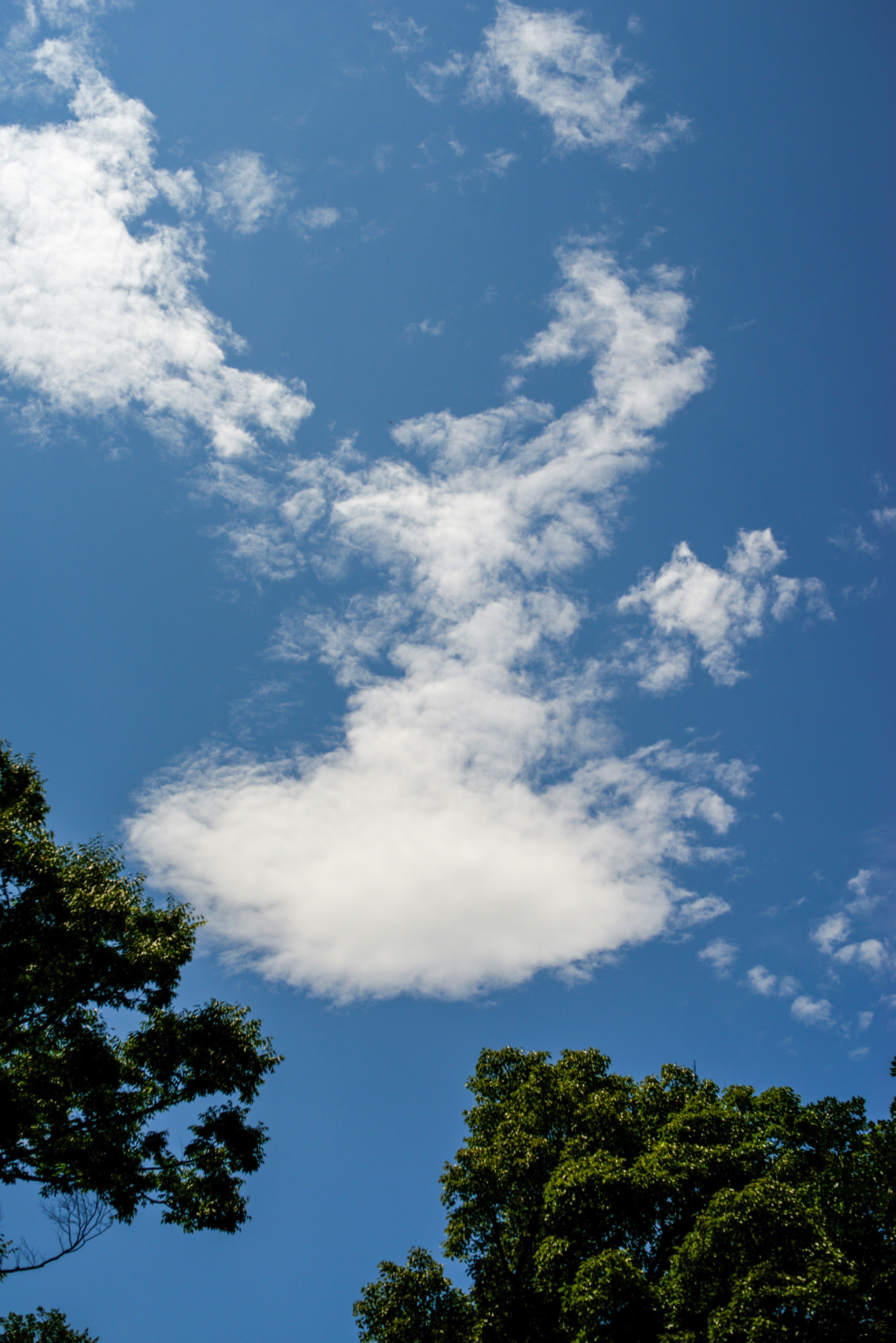 Eine schöne Landschaft mit blauem Himmel und weißen Wolken