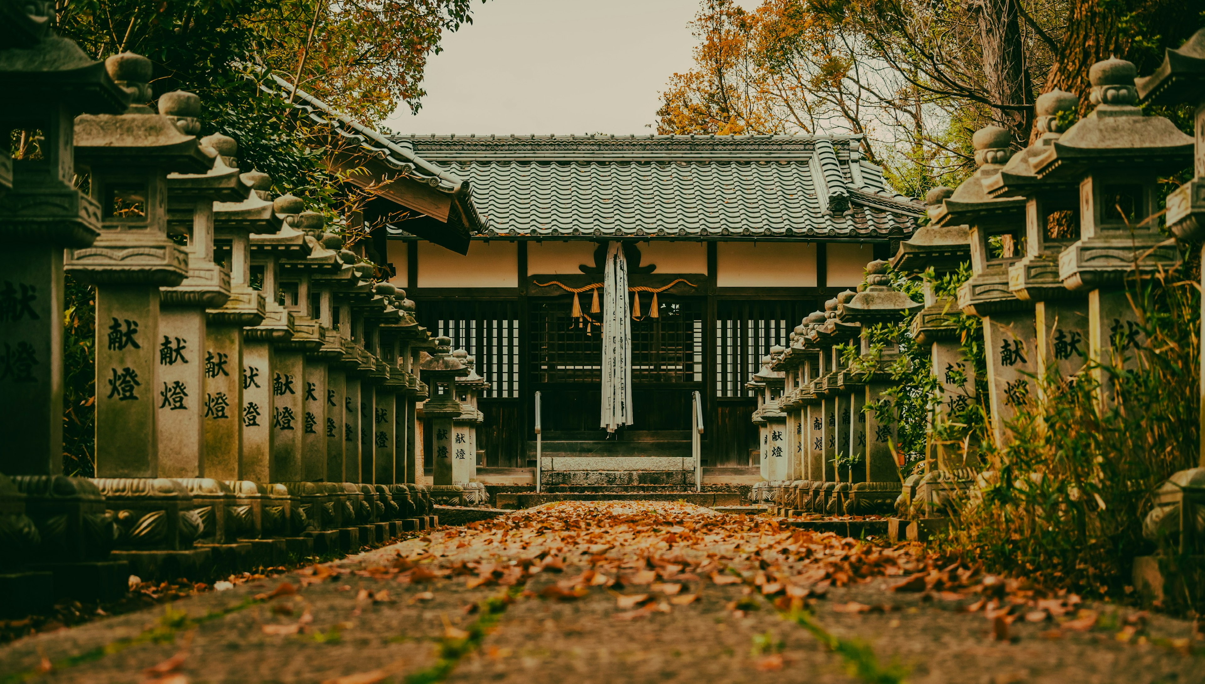 Steinlaternen säumen einen Weg zu einem traditionellen japanischen Tempel mit Herbstblättern