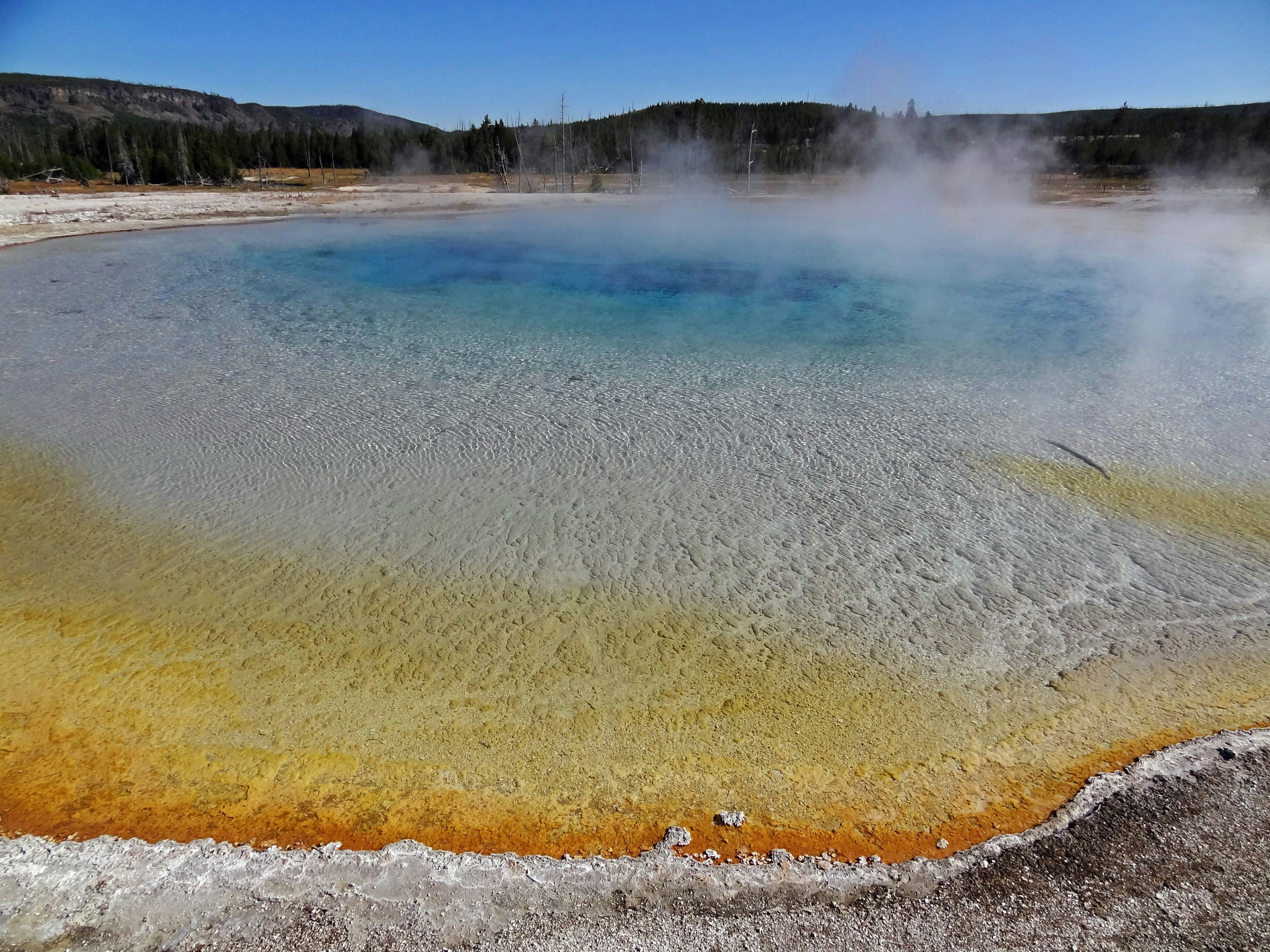 Manantial caliente de Yellowstone con agua azul y borde naranja