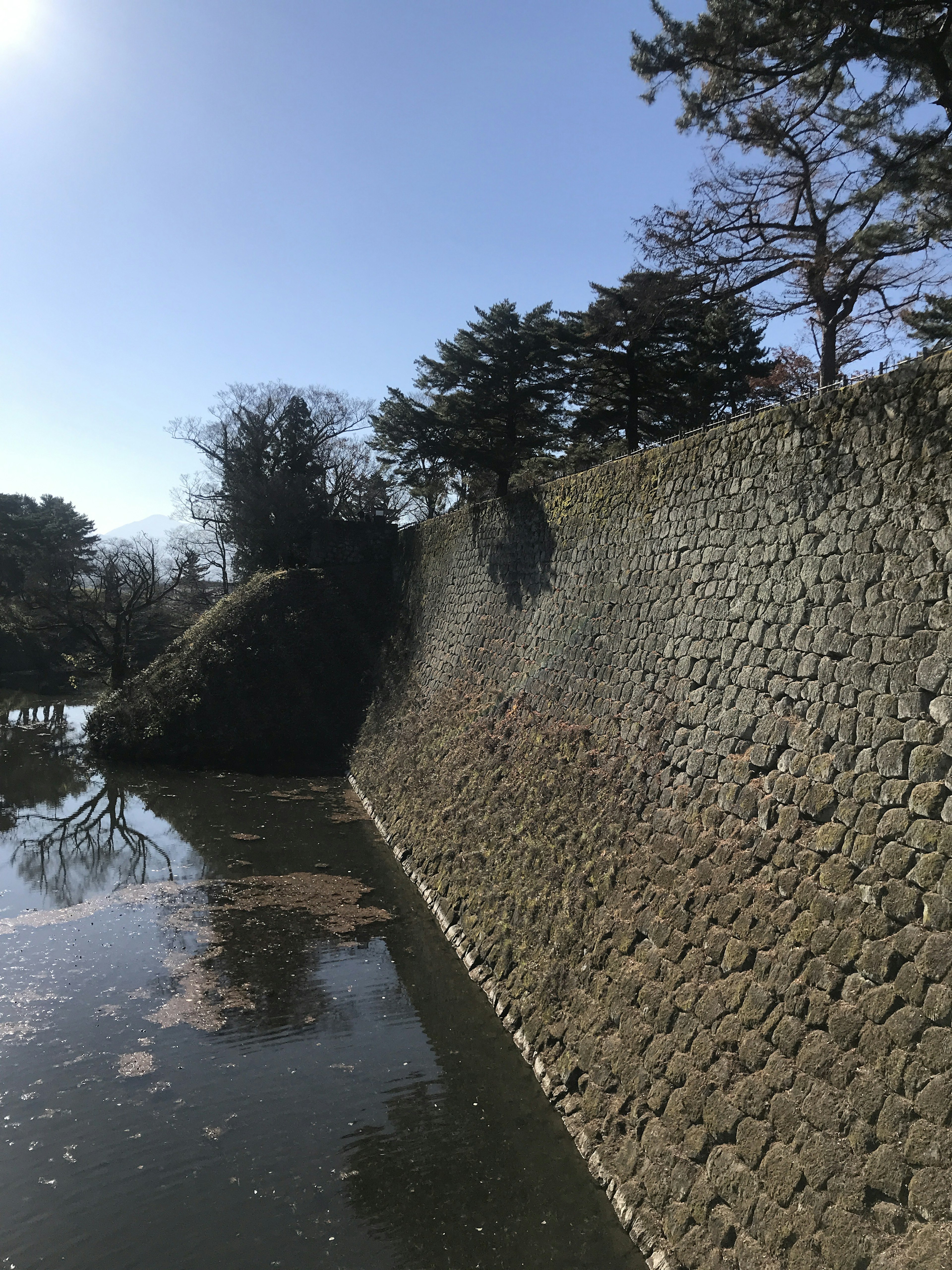 Muro di pietra vicino all'acqua con alberi sullo sfondo