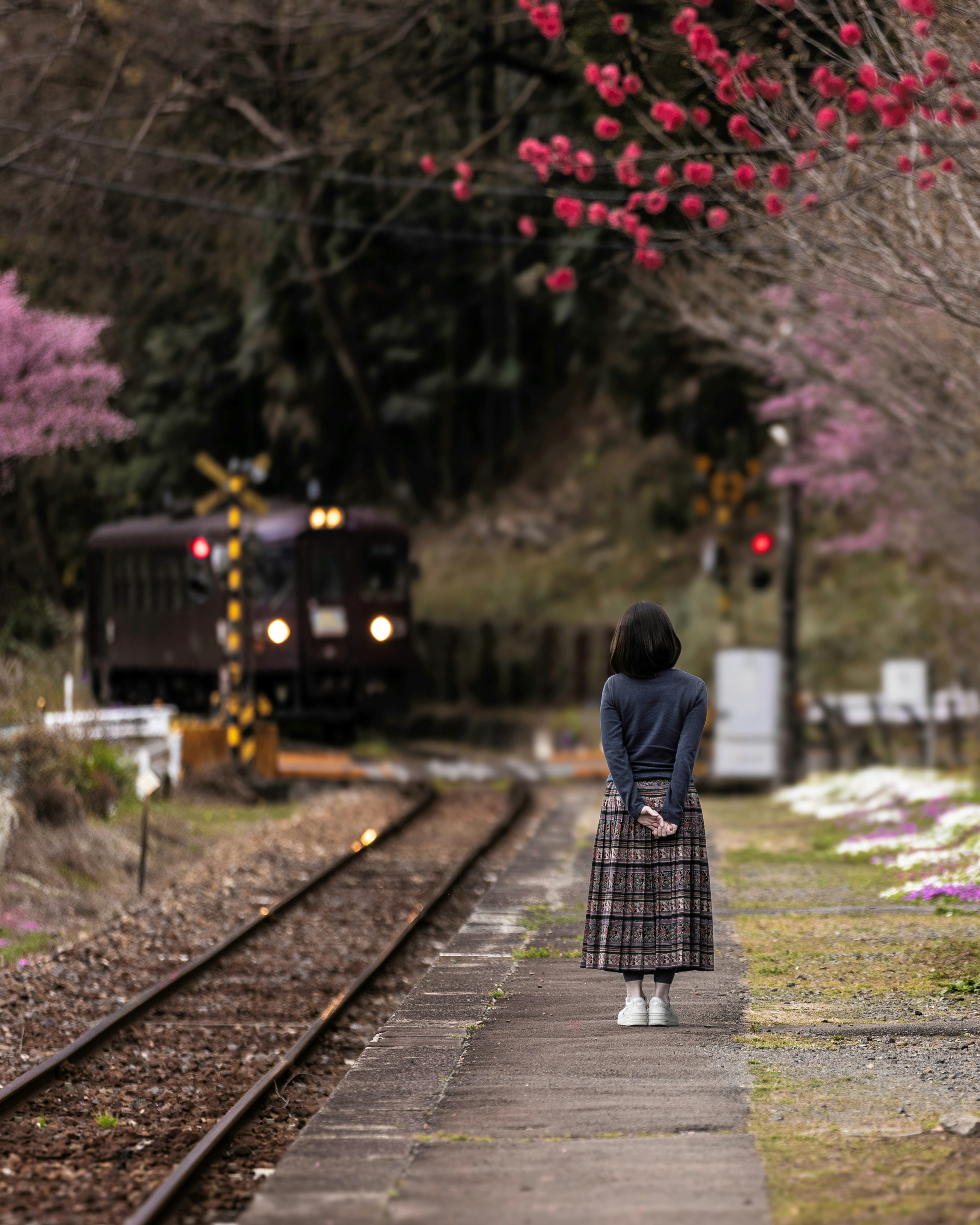 線路の近くに立つ女性と桜の木がある風景