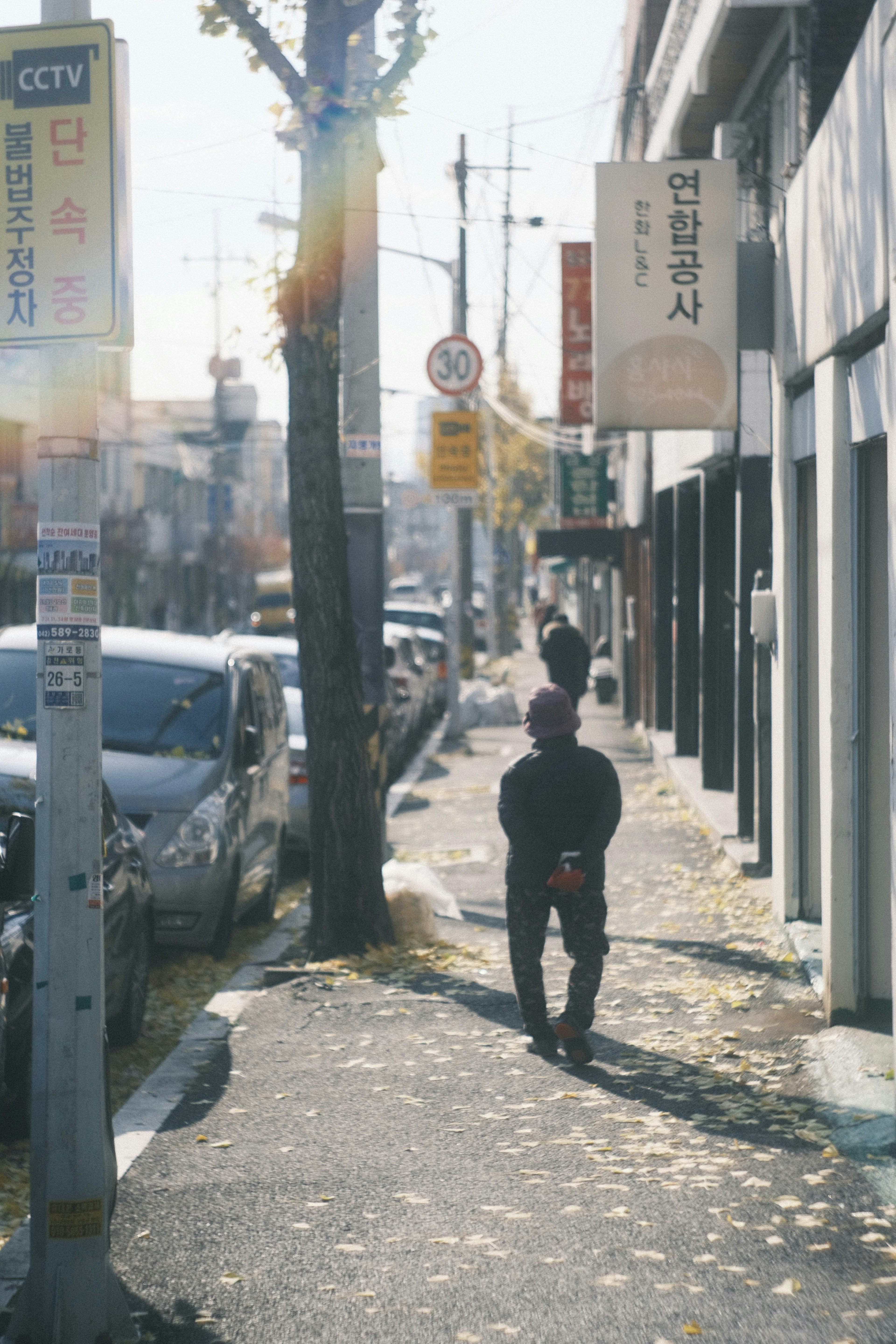 秋の街並みを歩く人々と落ち葉のある歩道