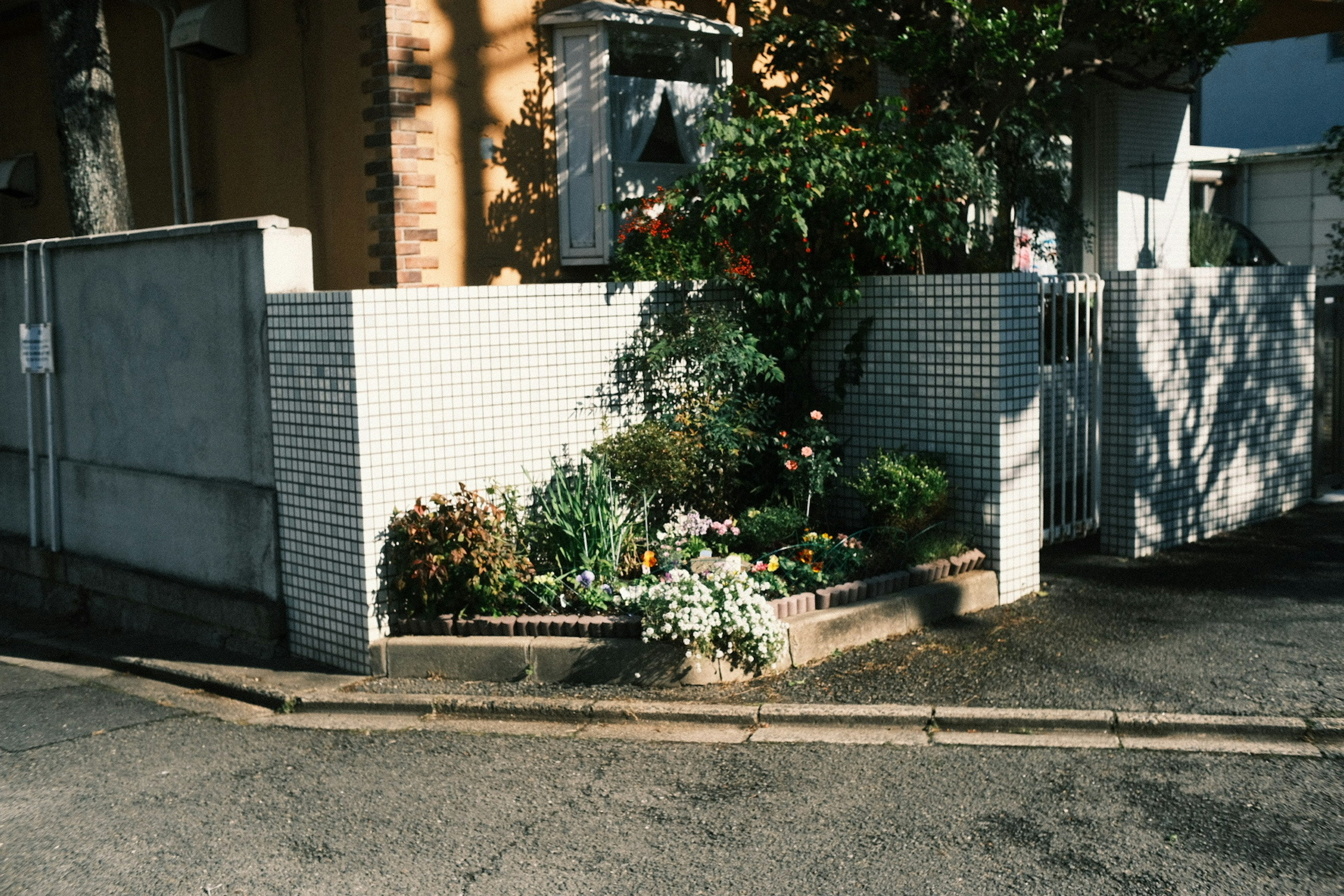 白い壁に囲まれた小さな庭にさまざまな植物が植えられている風景