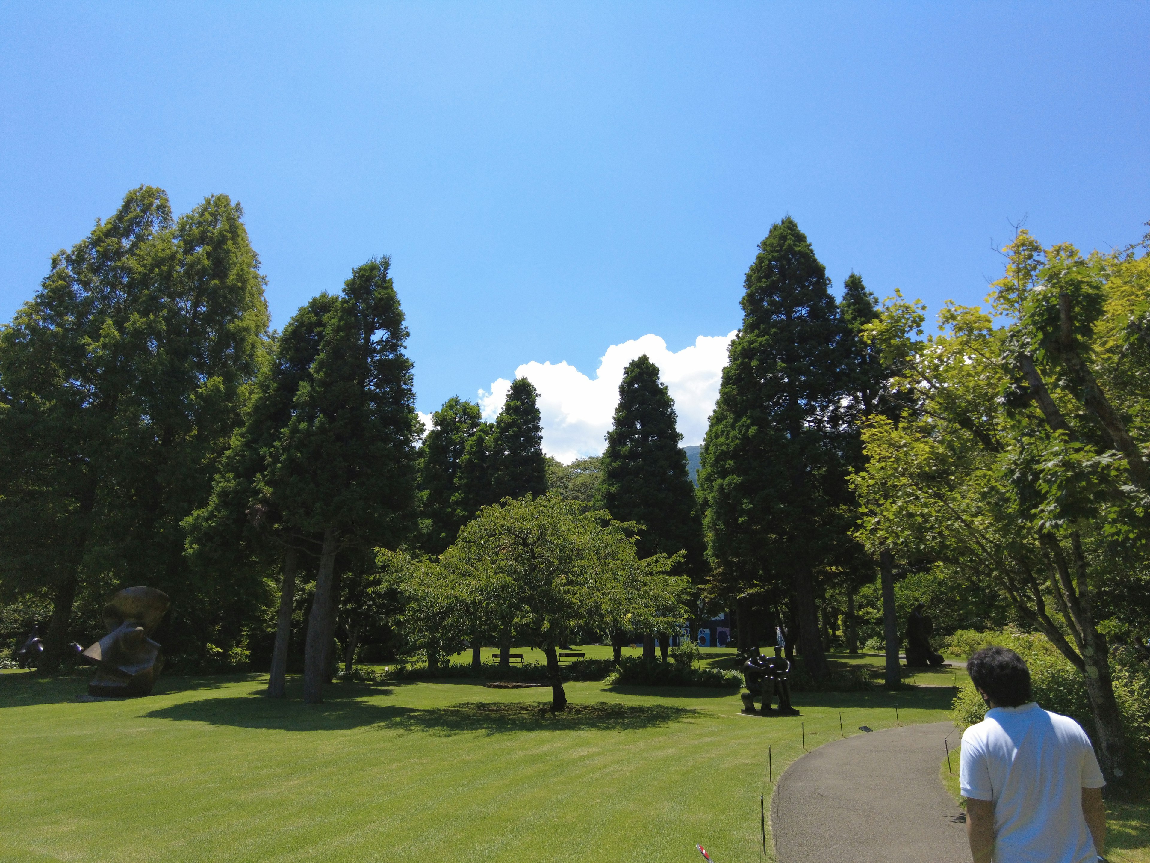 Des arbres verts luxuriants et de l'herbe sous un ciel bleu clair