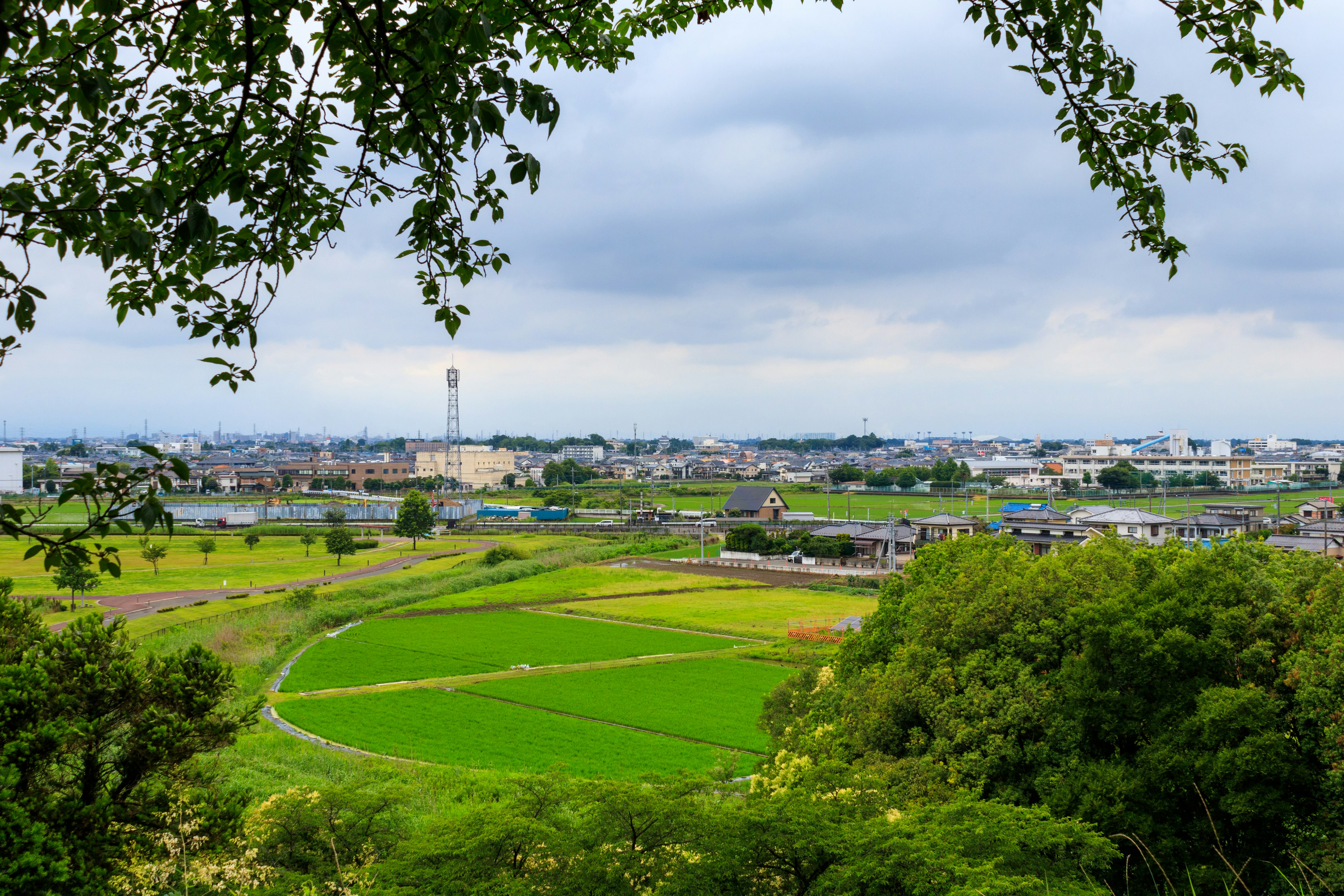 Una vista escénica de campos de arroz verdes y un horizonte urbano bajo cielos nublados