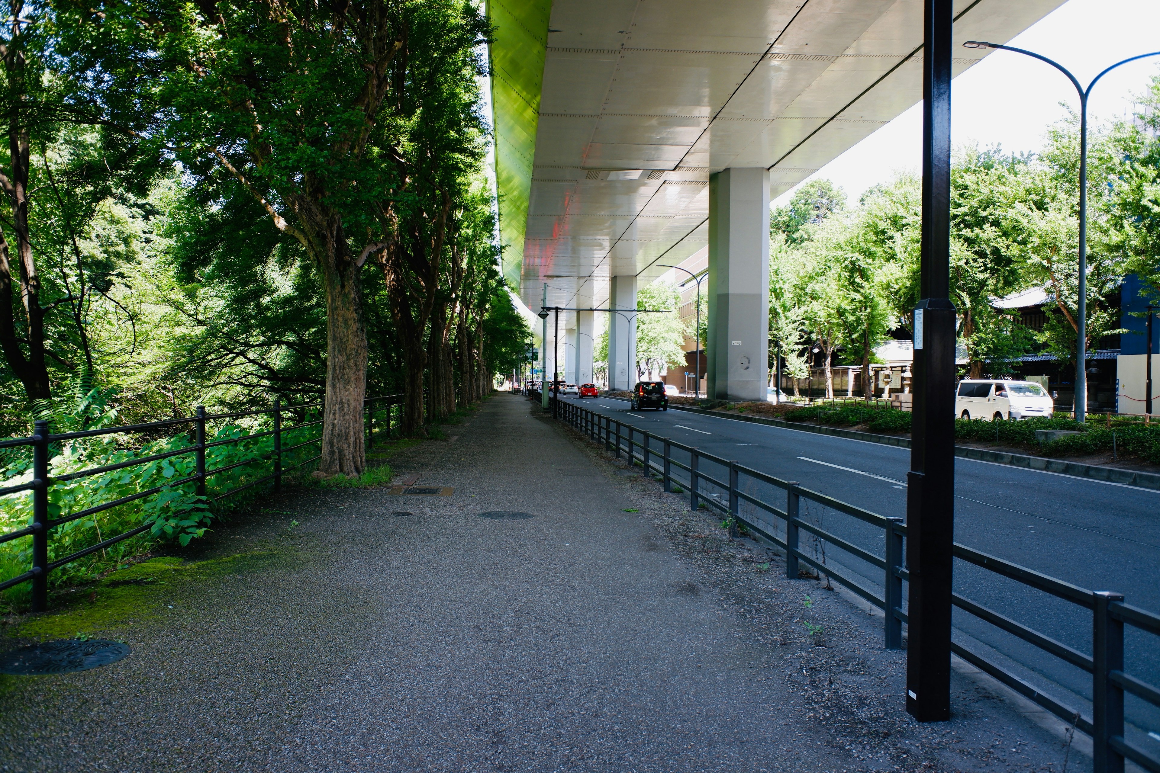 Scenic view of a tree-lined walkway and road beneath a bright elevated structure