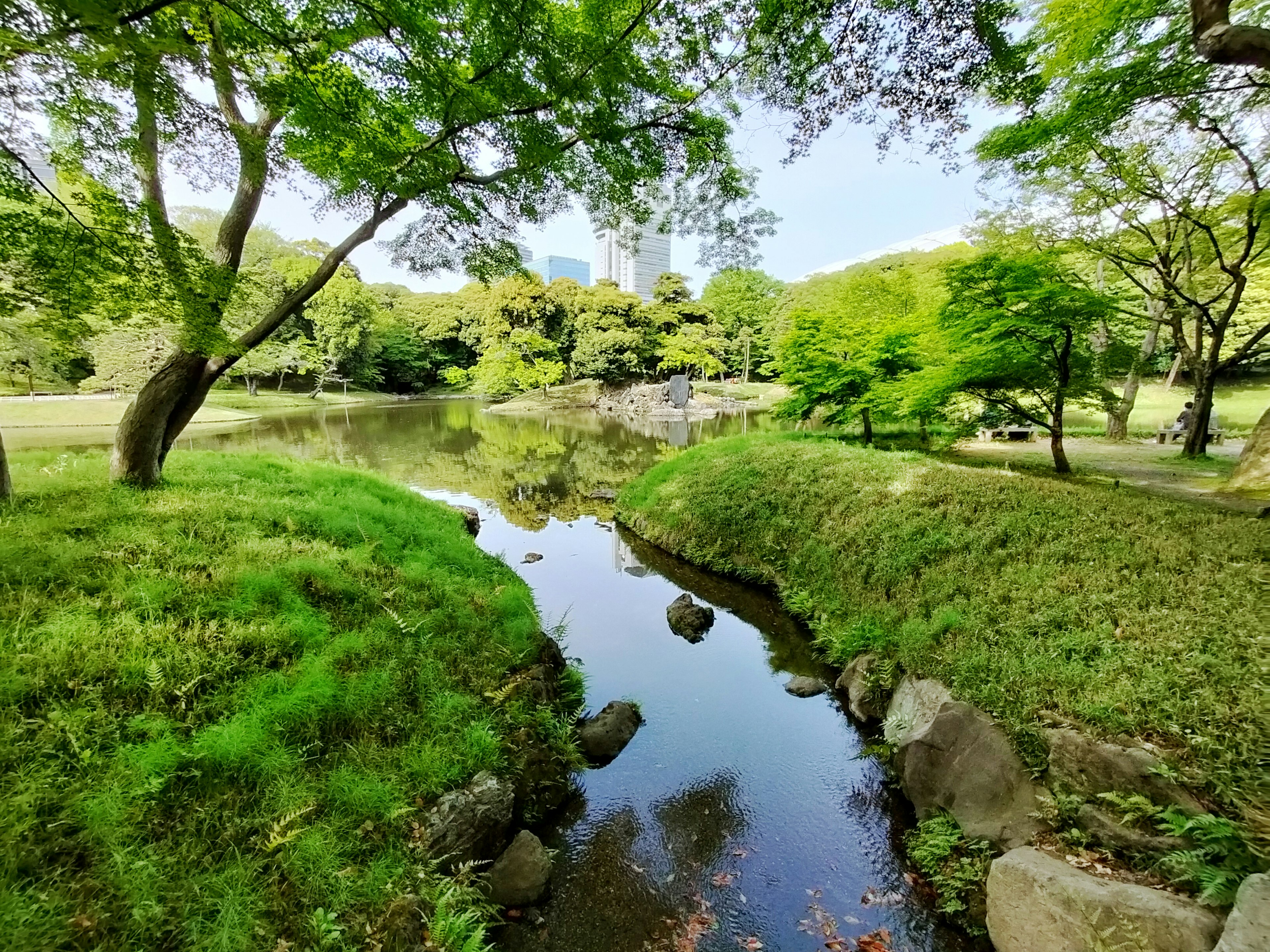 Vista escénica de un parque frondoso con un estanque y un arroyo