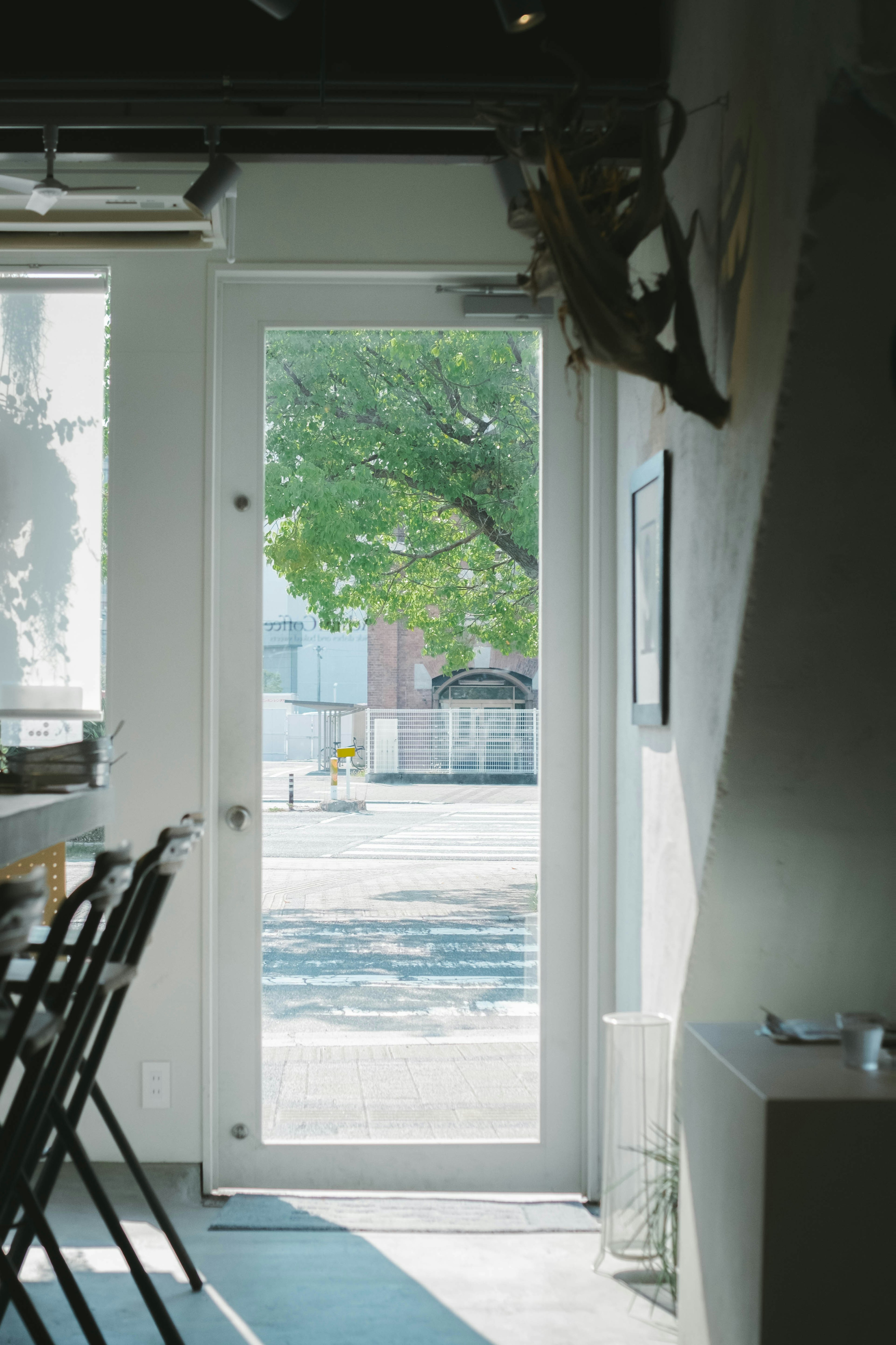 Vista interior brillante a través de una puerta transparente que muestra árboles verdes