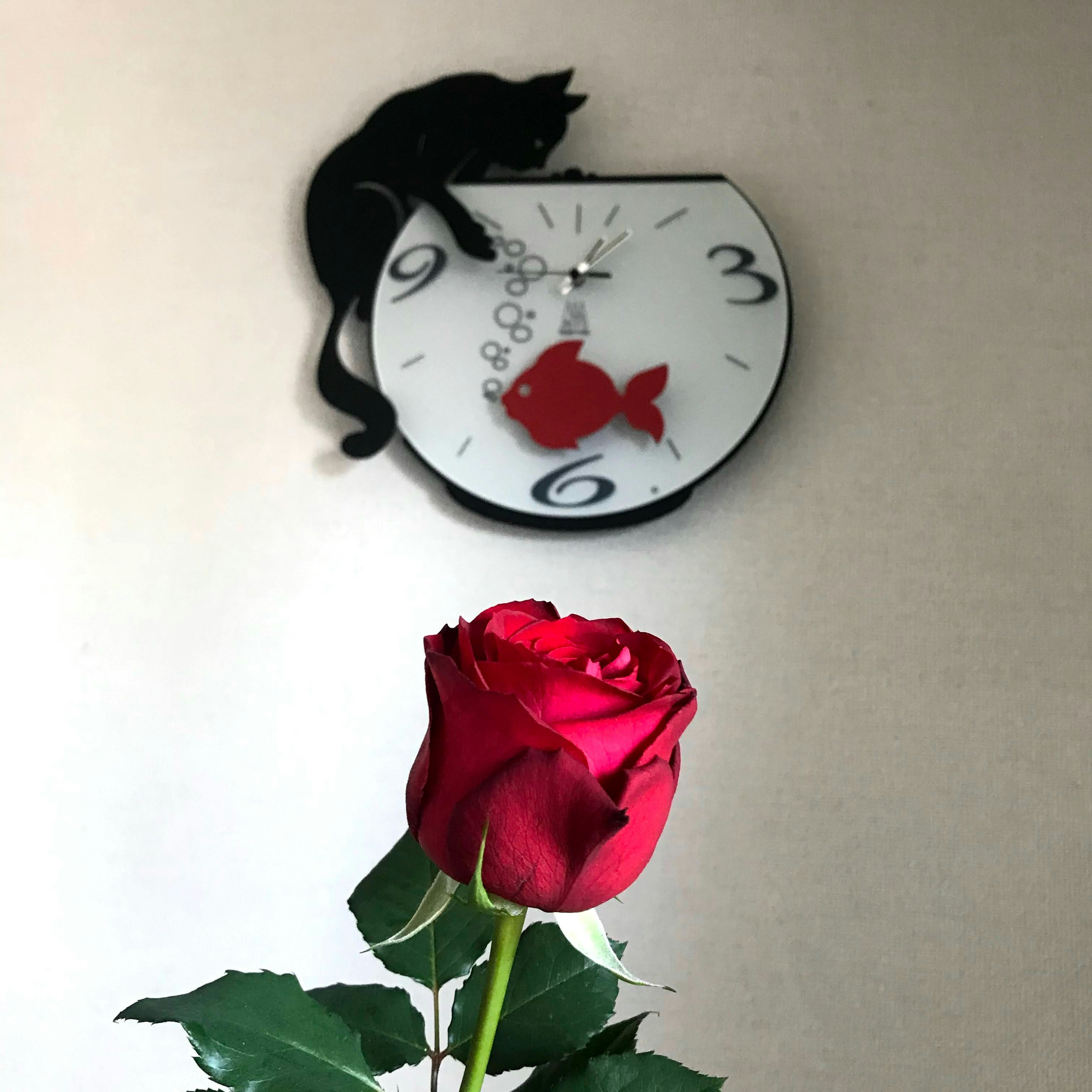 Unique clock design with a black cat on the hands and a red rose