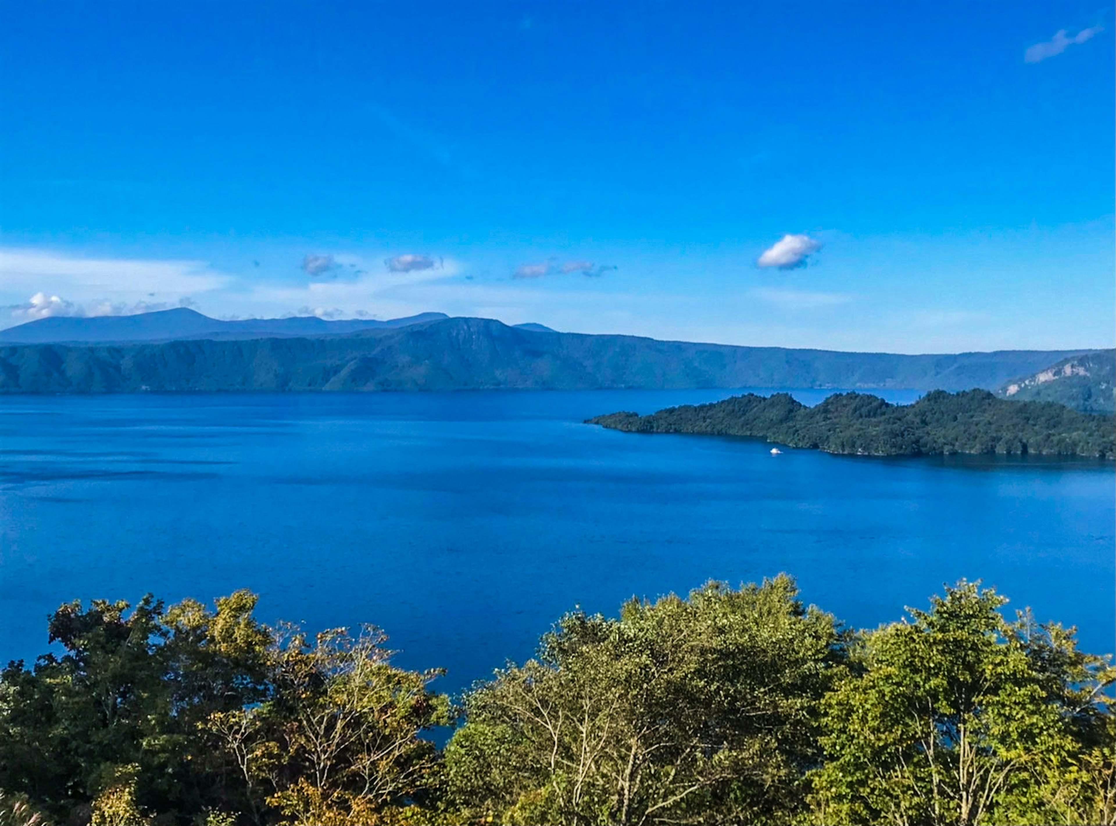 湖泊與綠色植物和藍天的風景