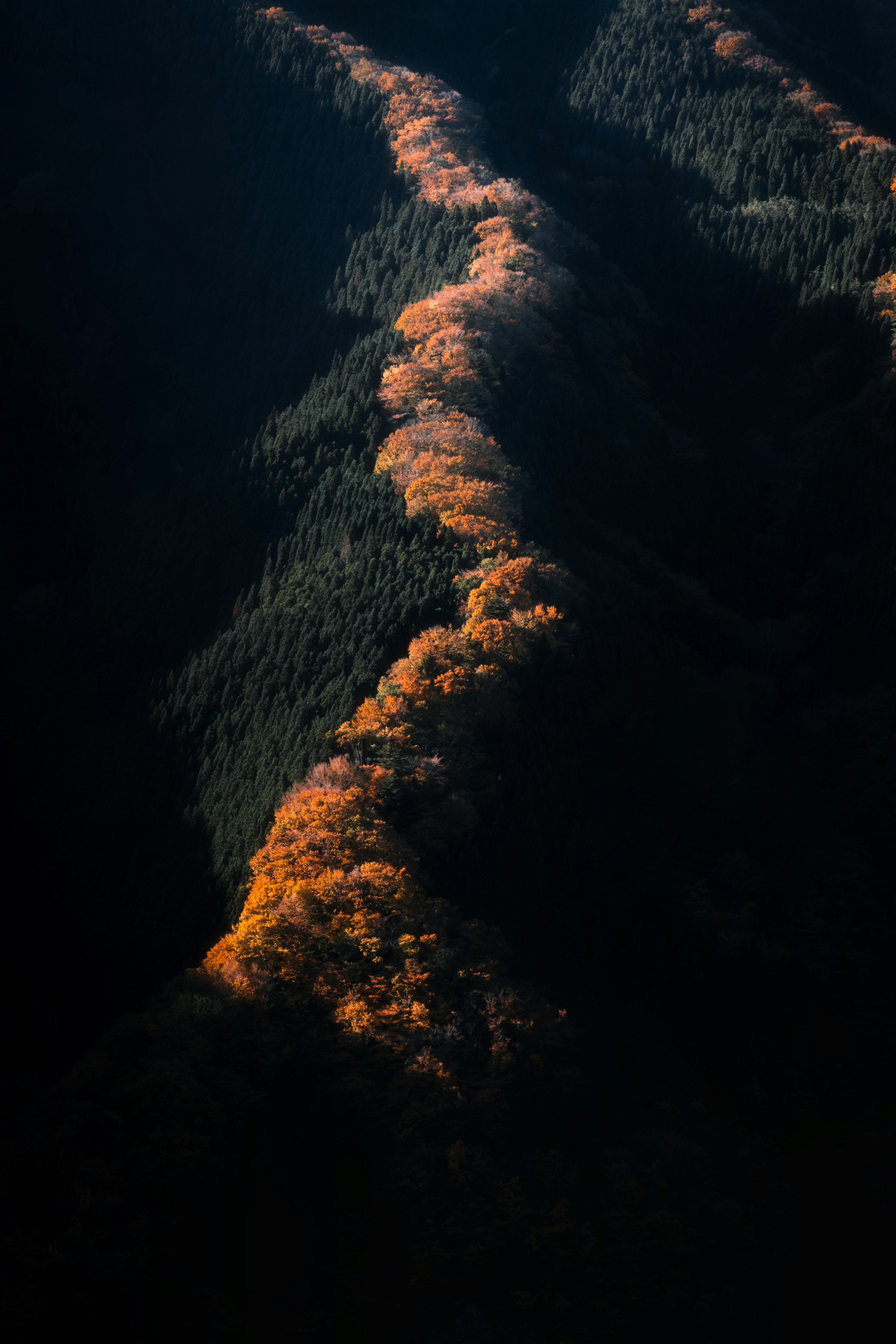 秋の山々の緑とオレンジのコントラストが美しい風景