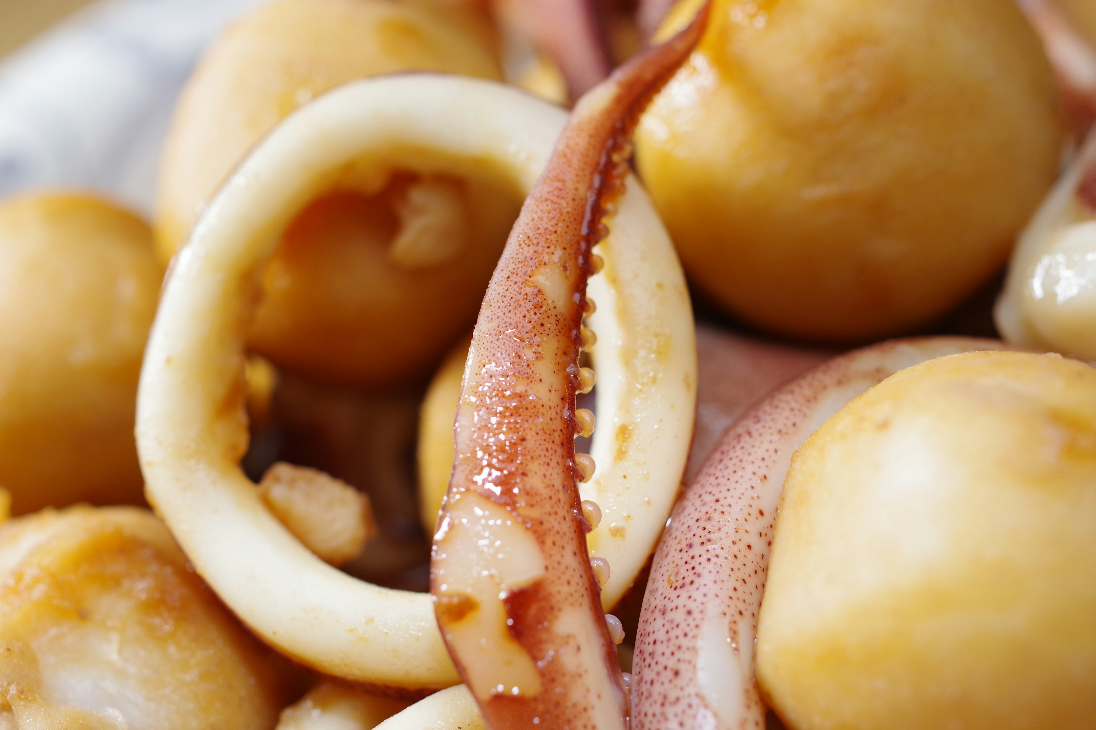 Primer plano de un plato de calamares y pulpo mostrando los colores y texturas de los mariscos frescos