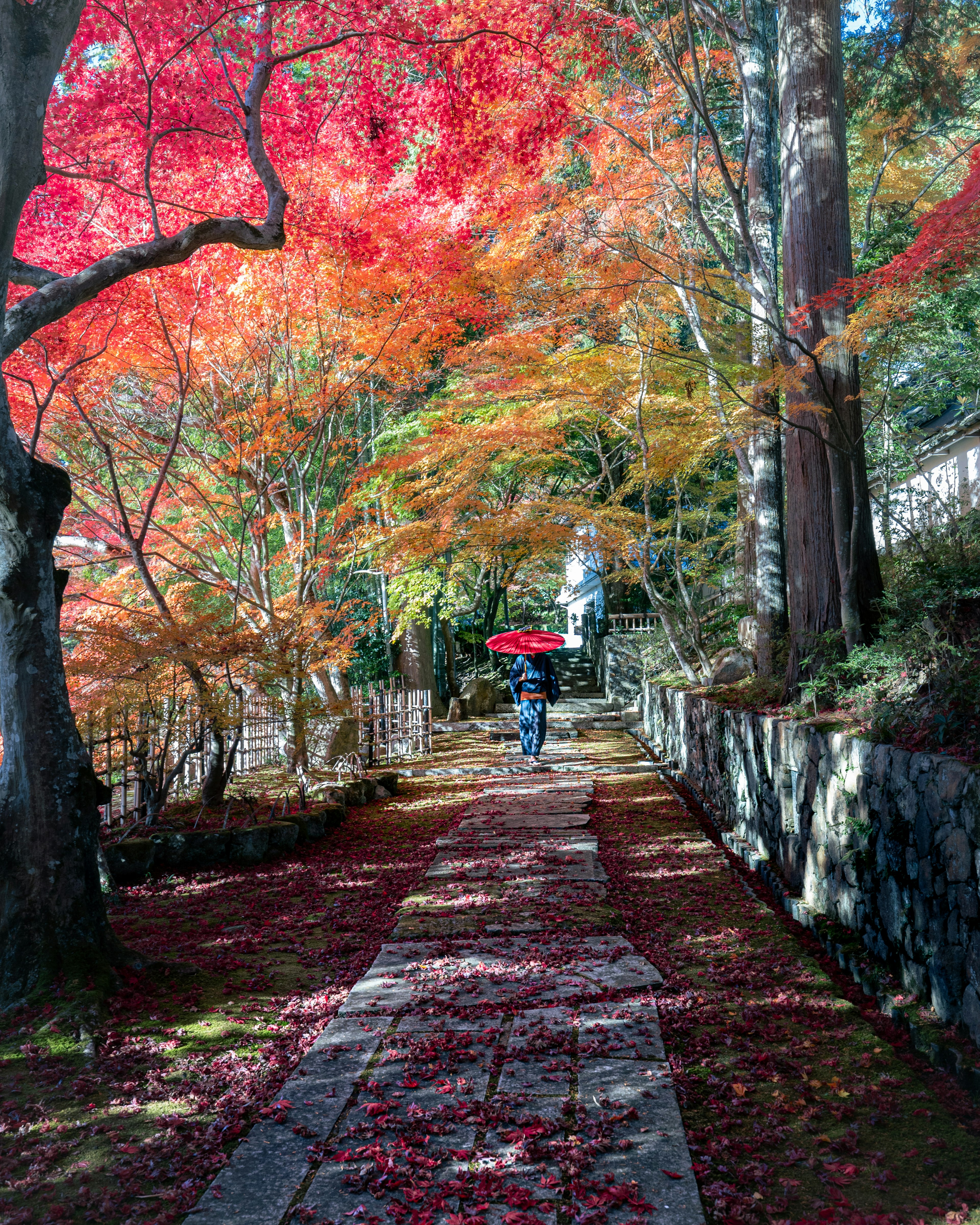 Une personne marchant sur un chemin entouré de feuilles d'automne colorées et tenant un parapluie rouge