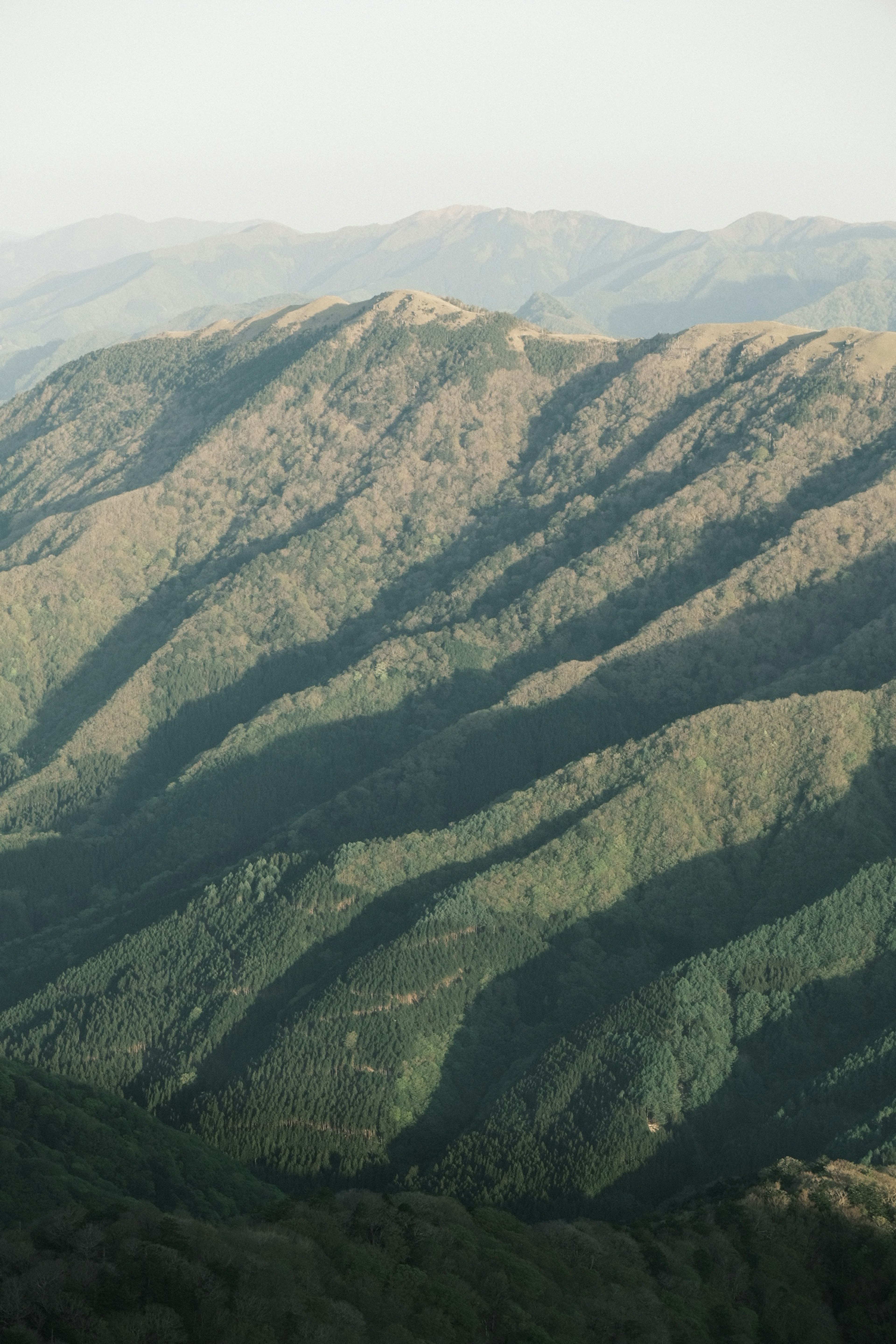 A landscape of green mountains with wave-like ridges