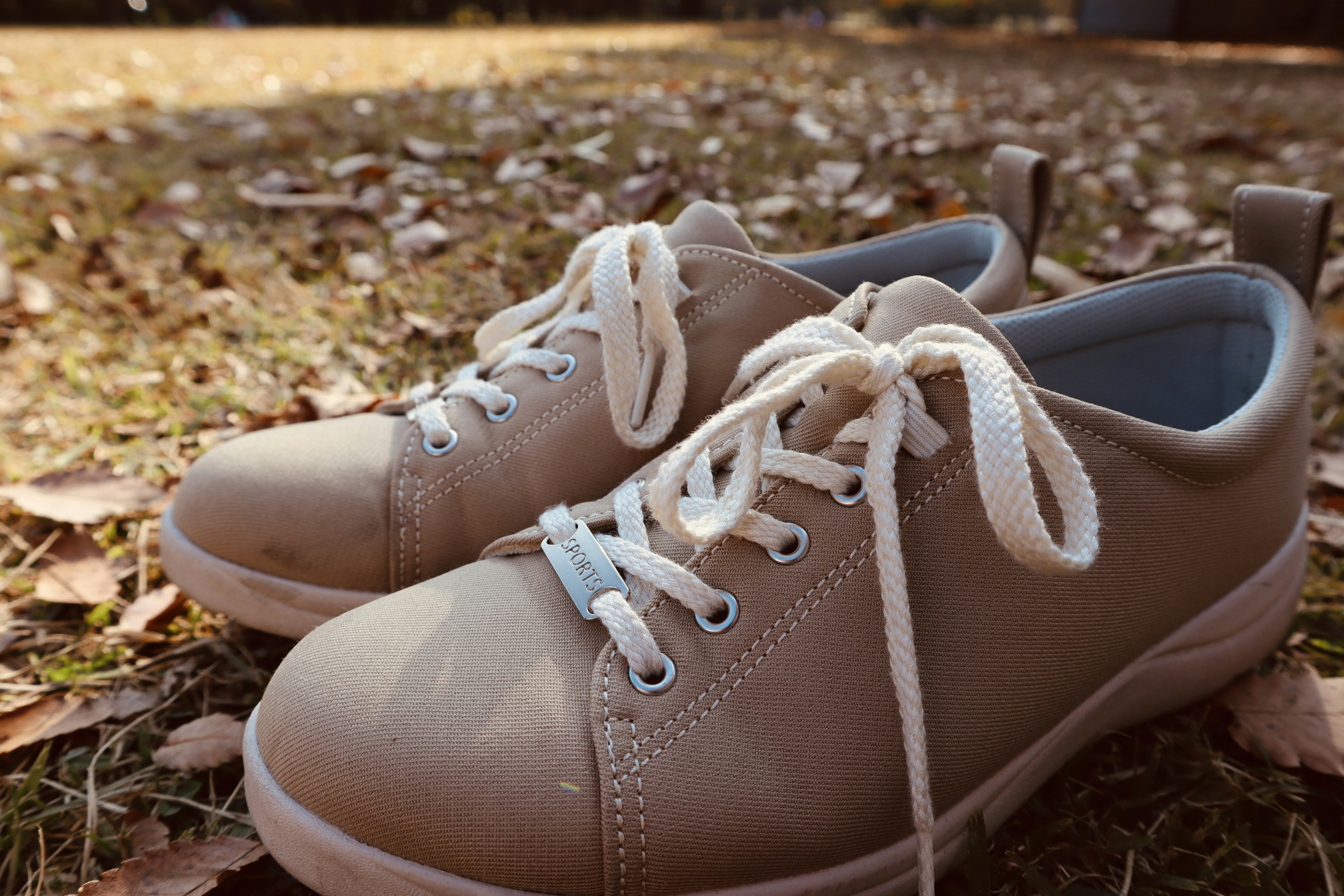 Zapatillas beige sobre hojas caídas