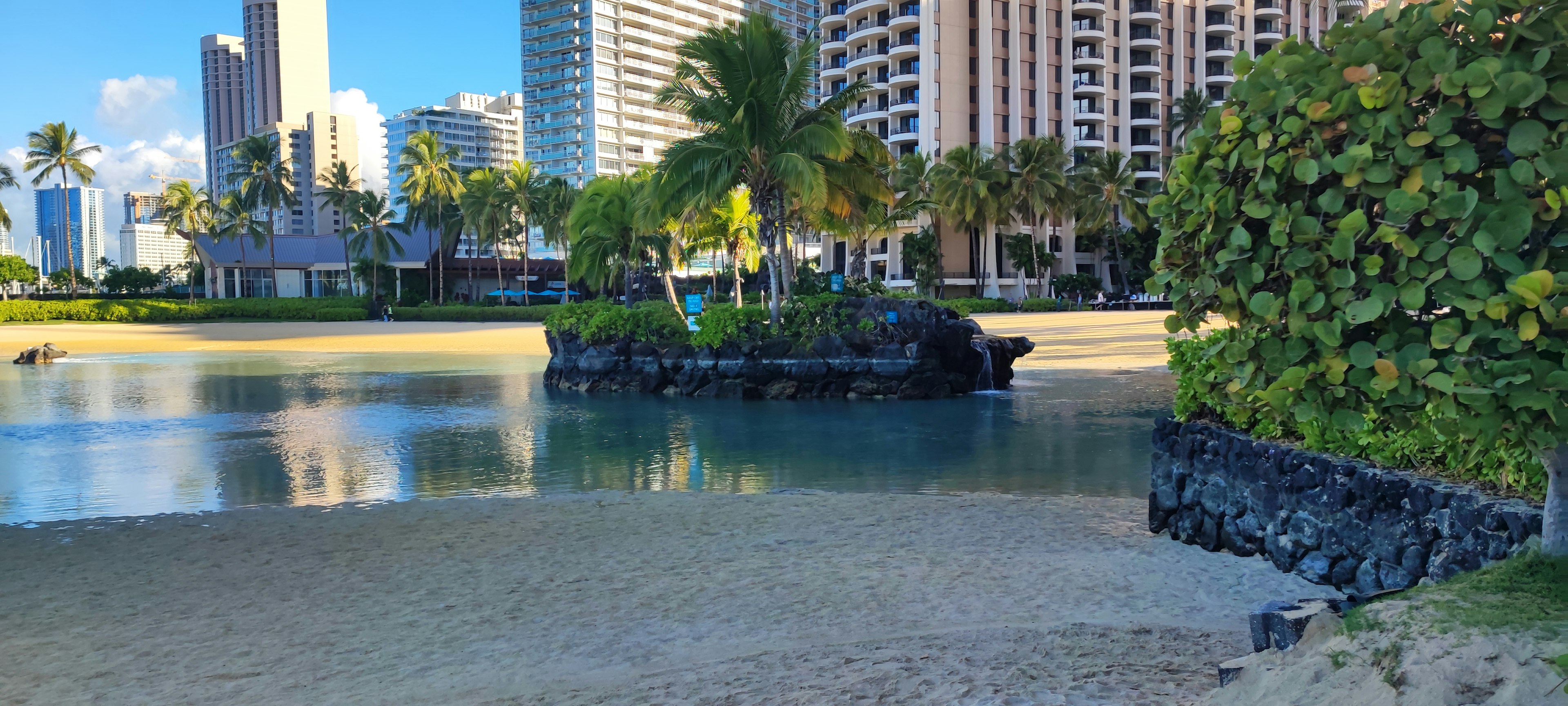 美麗的海灘和高樓大廈的景色 棕櫚樹和寧靜的水面