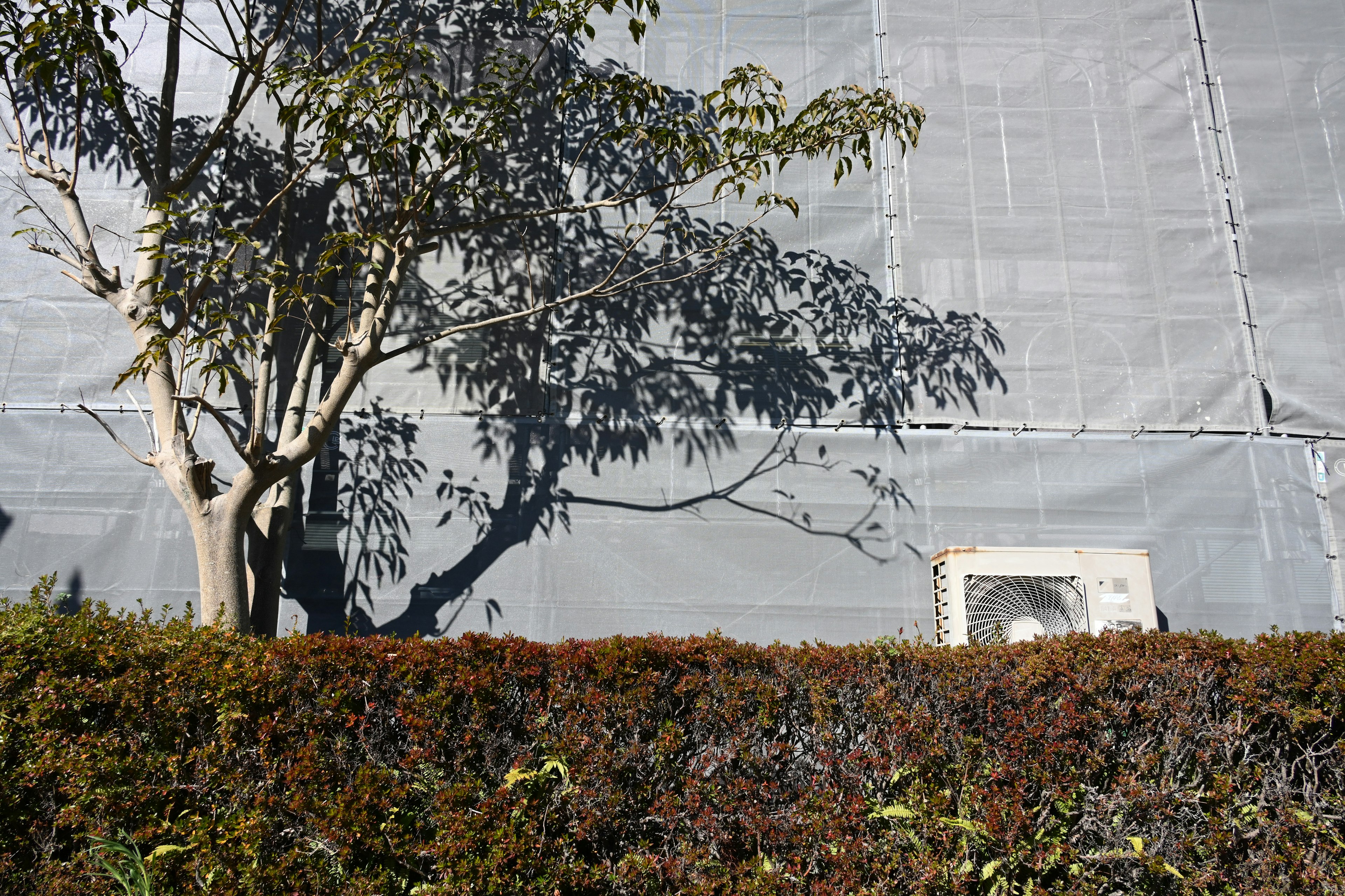 Paisaje con la pared exterior de un edificio y la silueta de un árbol