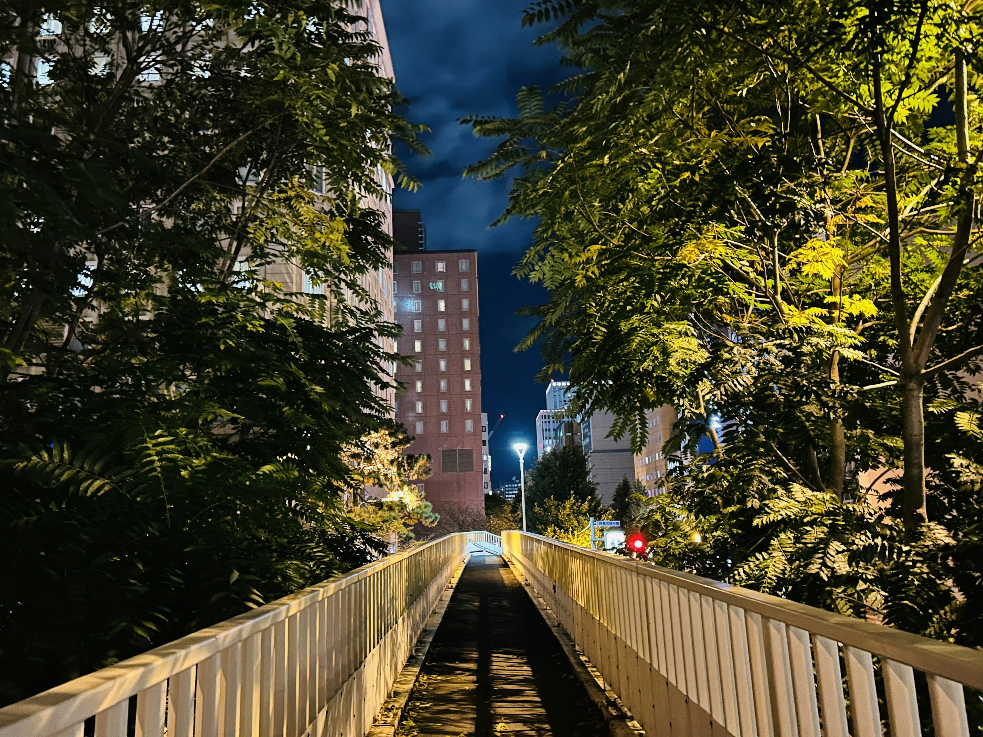 Vista nocturna de un camino con barandilla blanca rodeado de árboles y edificios