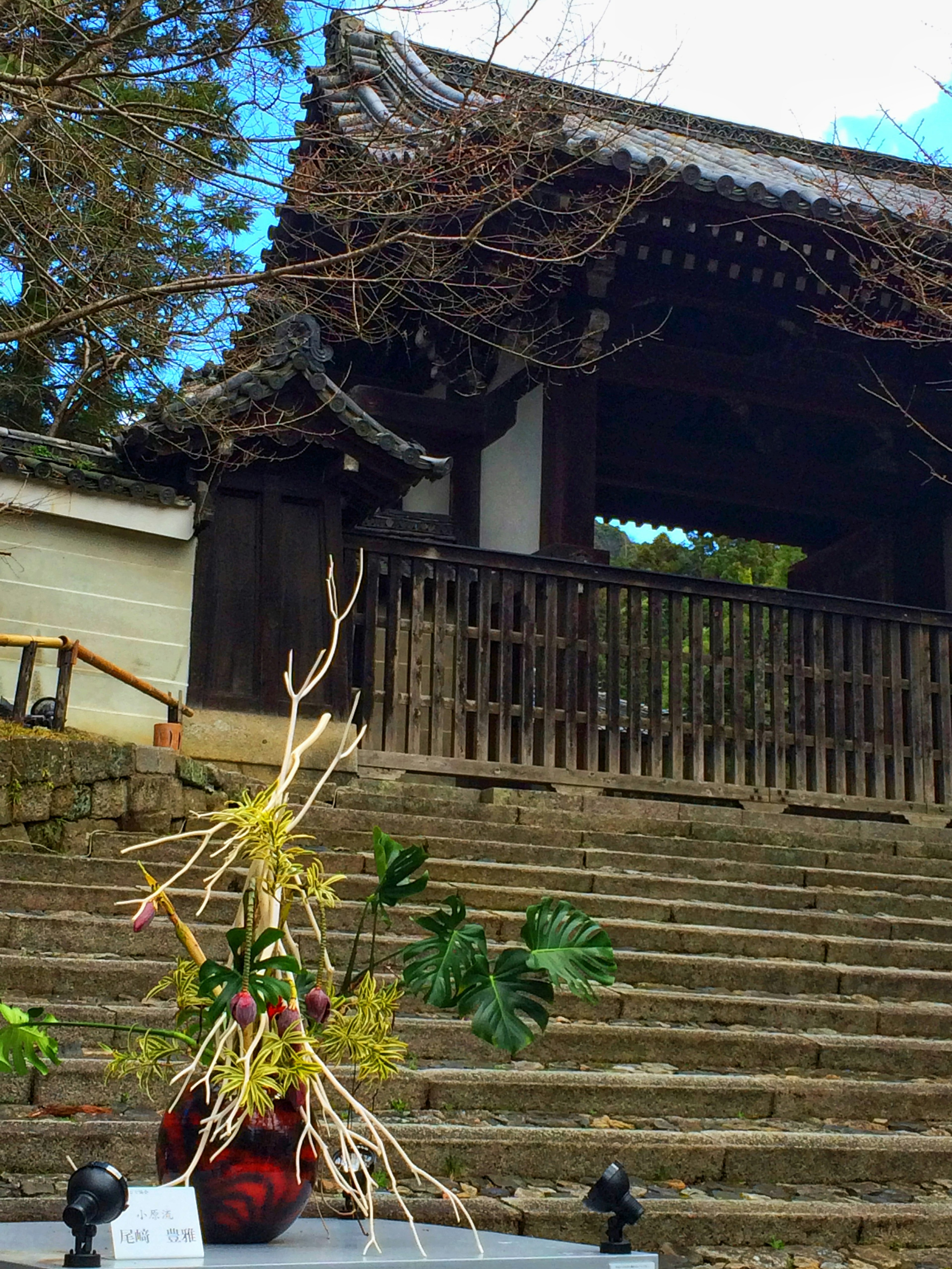 Arreglo de ikebana frente a una puerta antigua y escaleras