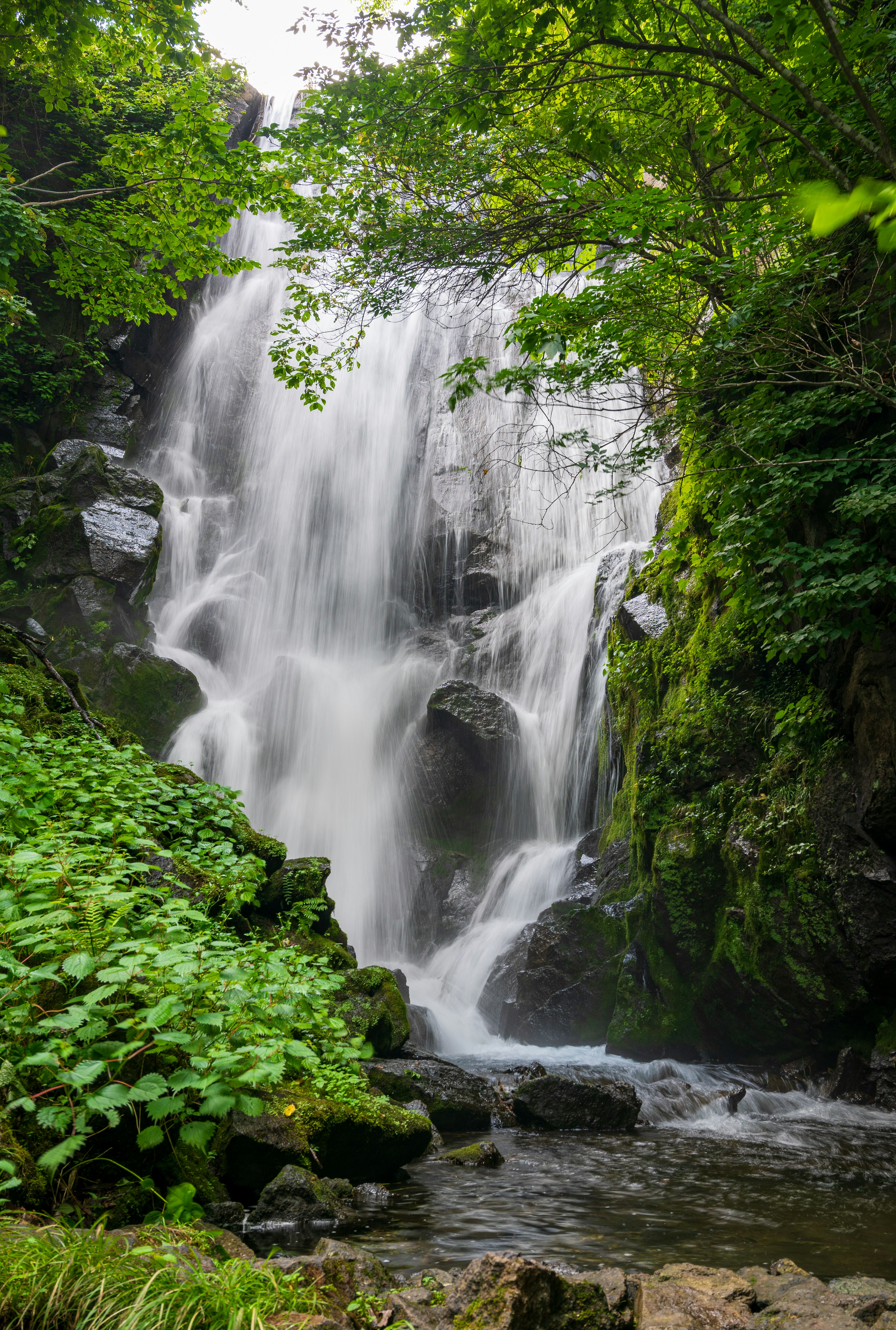 緑に囲まれた美しい滝の風景流れる水と岩に囲まれた自然の中の静けさ