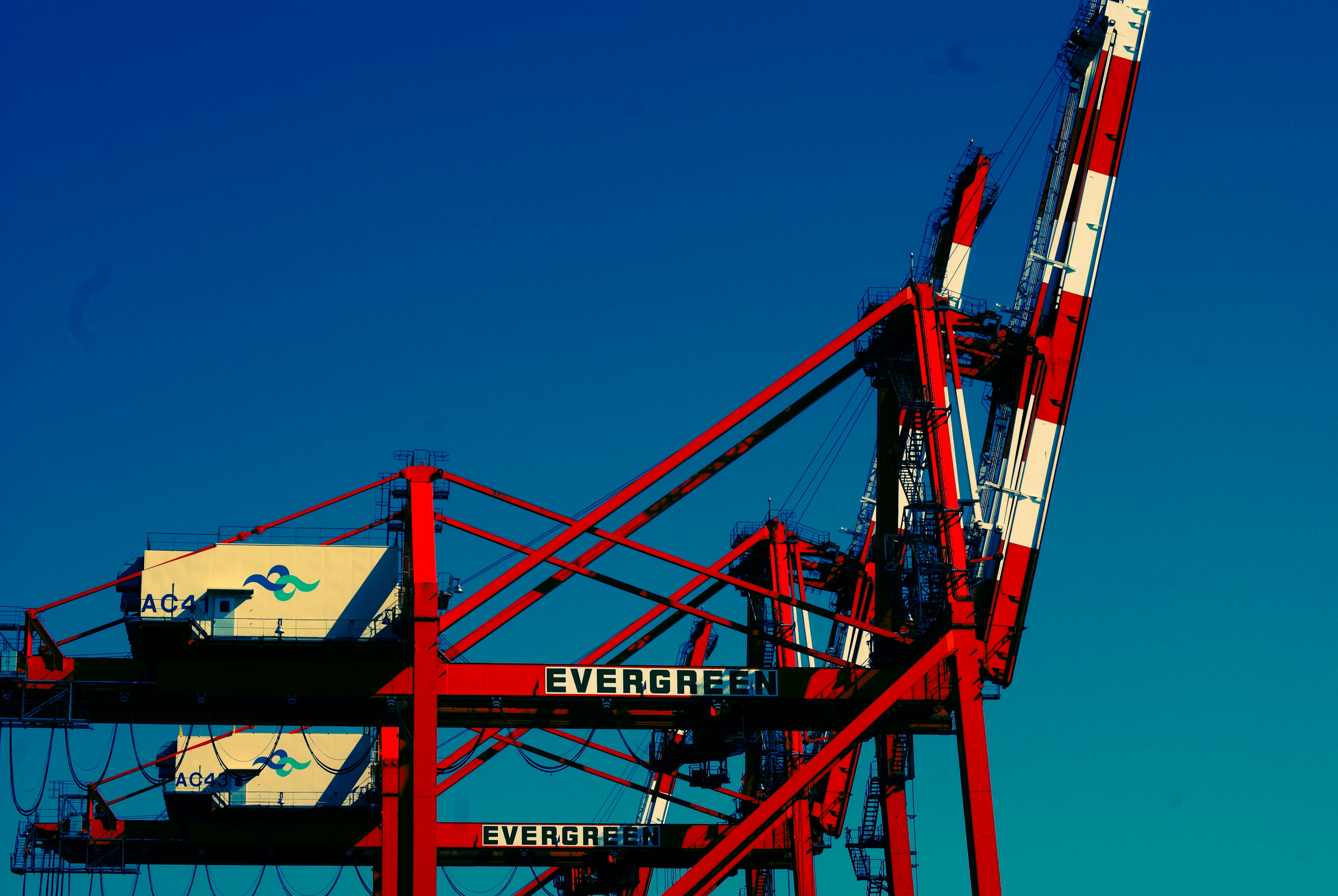 Red and white cranes lifting containers under a blue sky