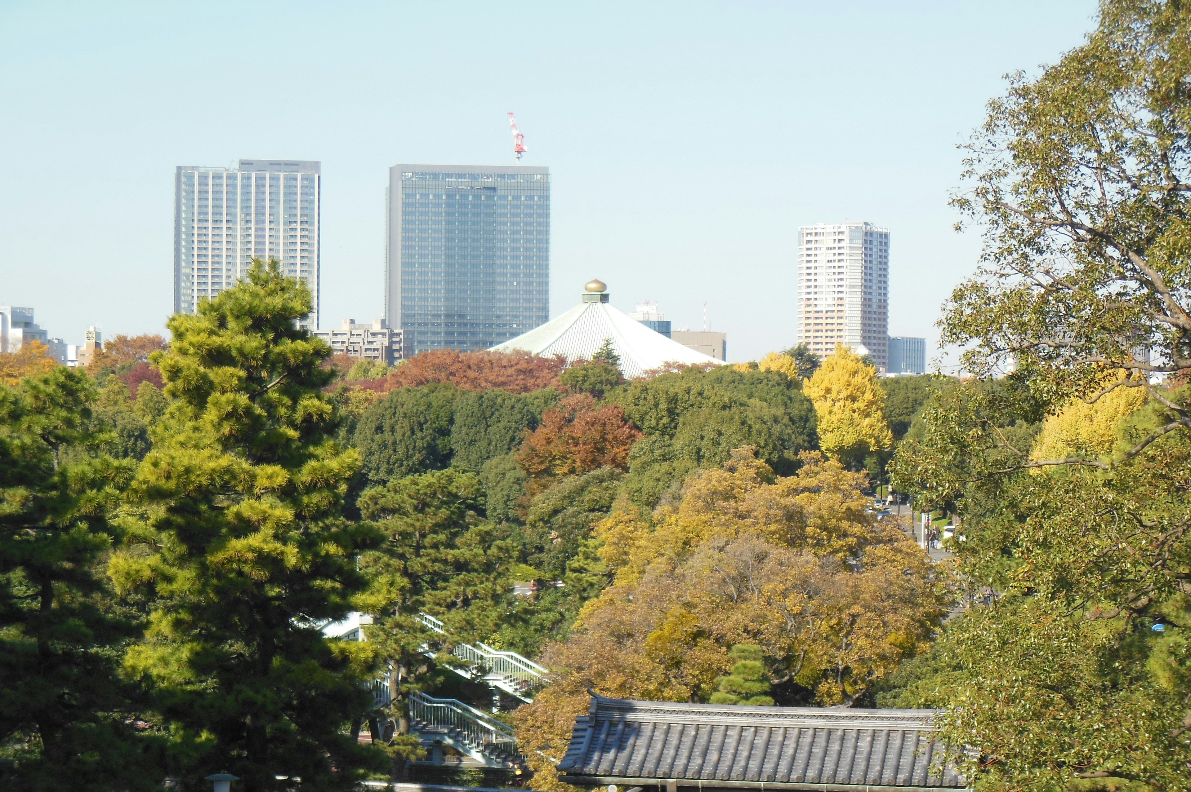 Vista de otoño de Tokio con rascacielos y árboles